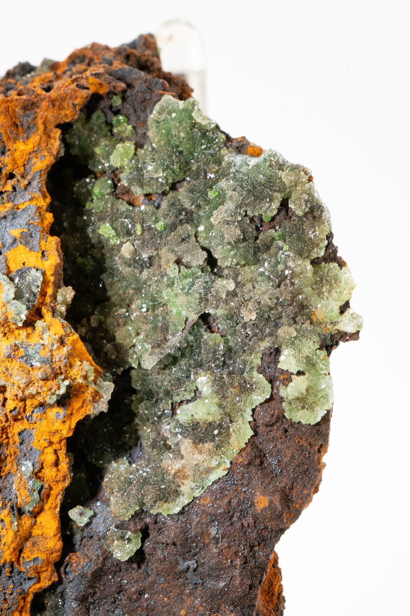 Cuproaustinite