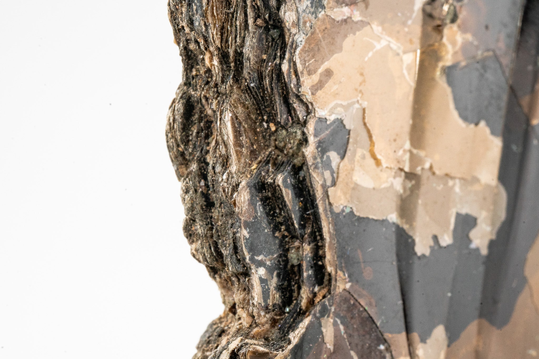 Phlogopite