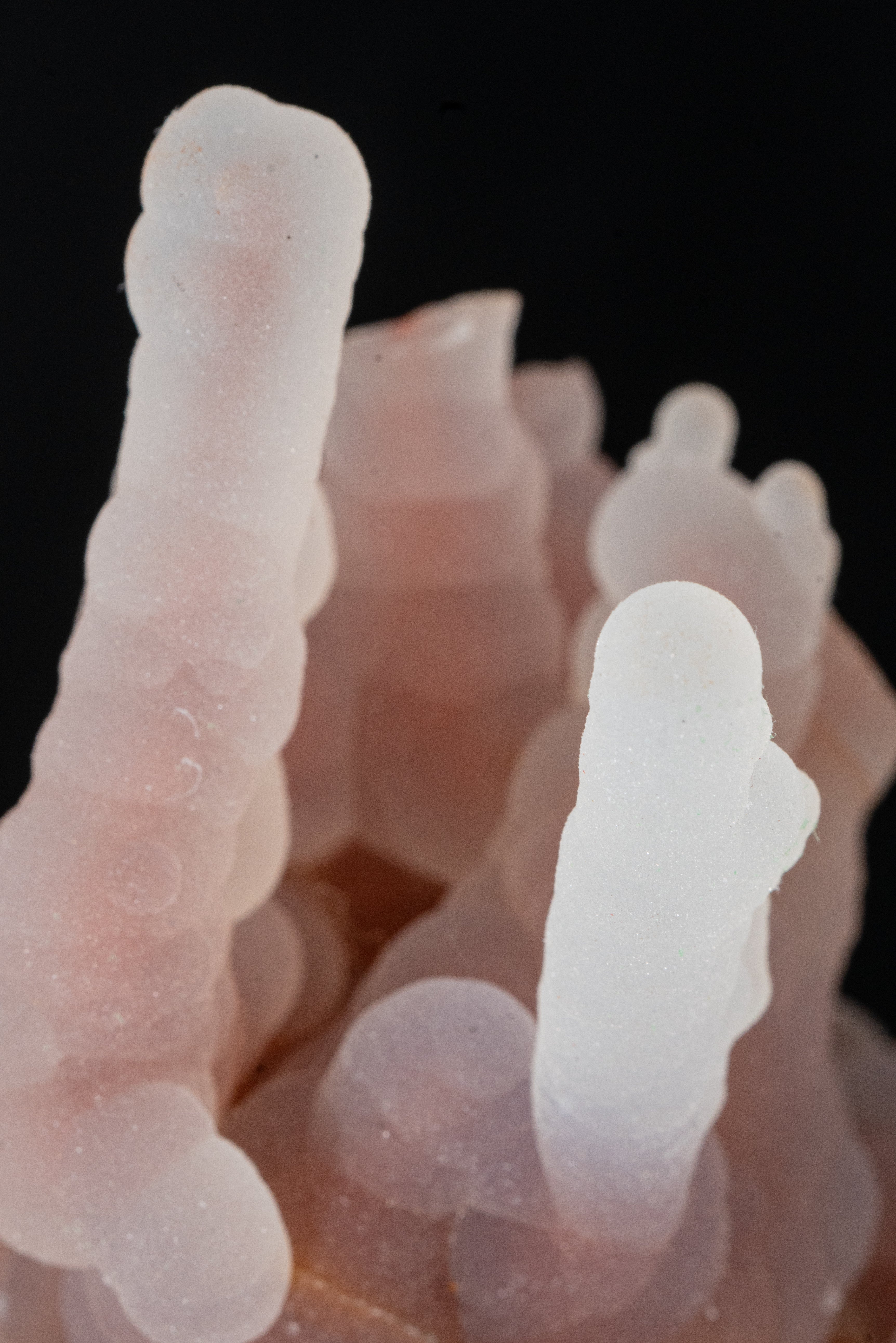 Stalactites