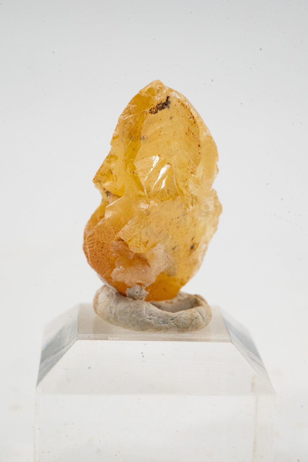 Wulfenite - Rare Locale - Nuevo Leon, Mexico