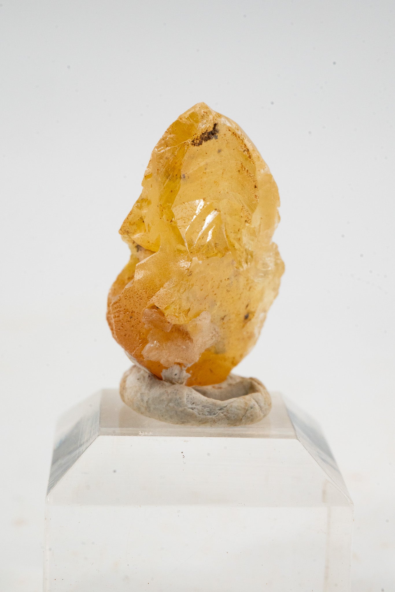 Wulfenite - Rare Locale - Nuevo Leon, Mexico