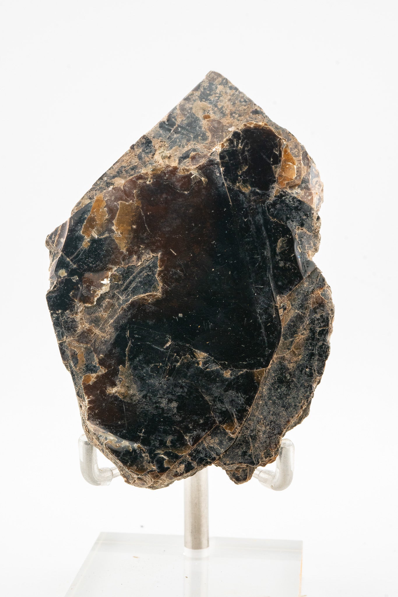 Phlogopite - Telixtlahuaca, Oaxaca, Mexico