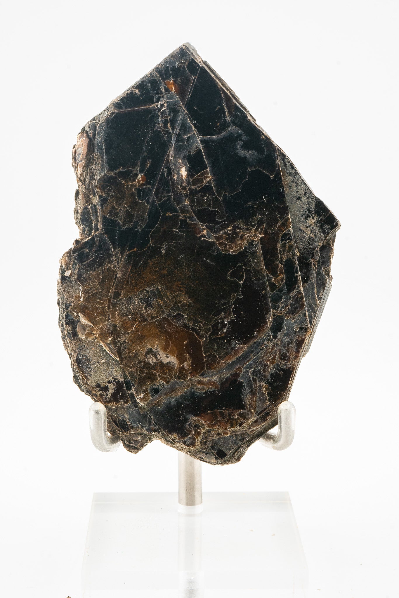 Phlogopite - Telixtlahuaca, Oaxaca, Mexico