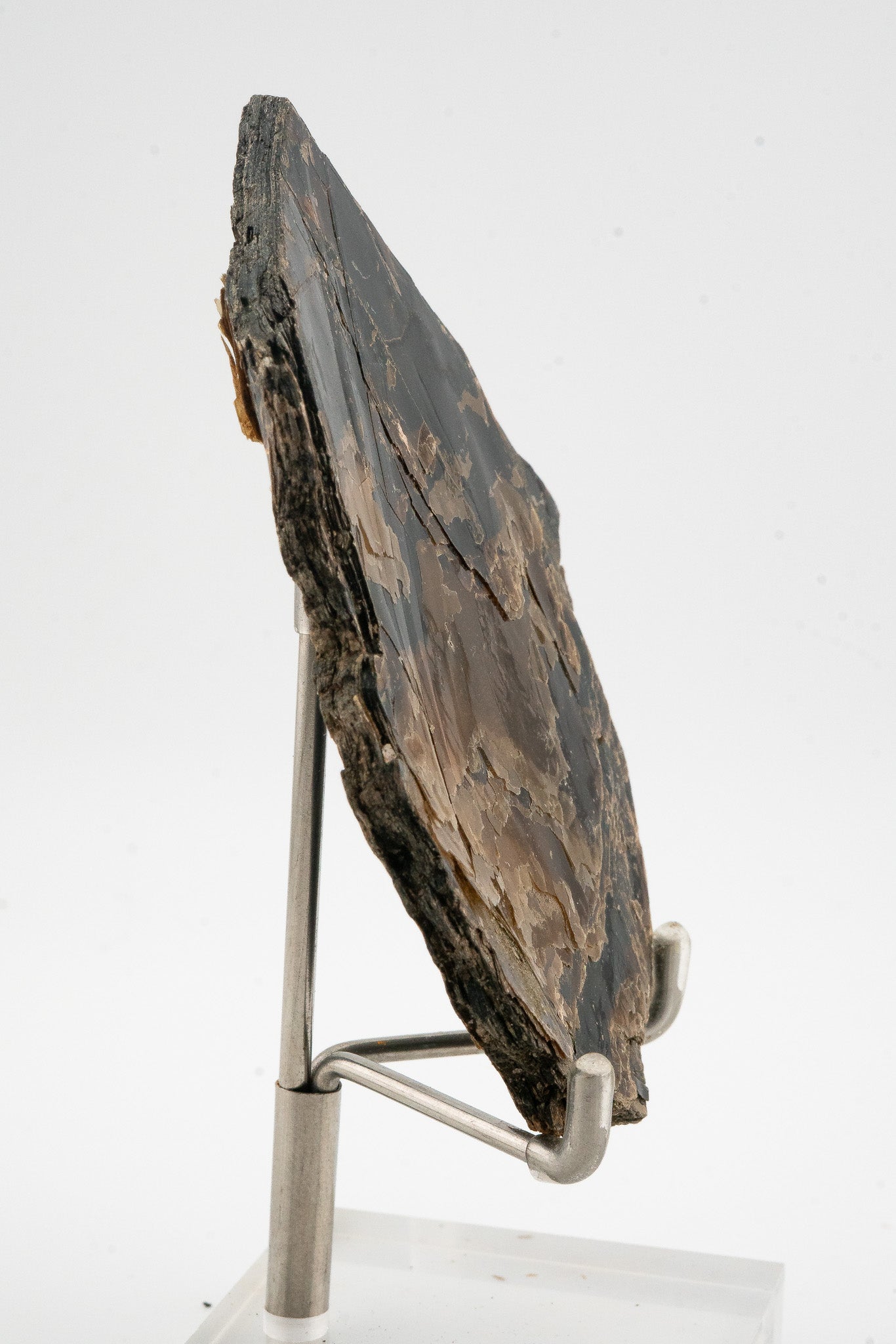 Phlogopite - Telixtlahuaca, Oaxaca, Mexico
