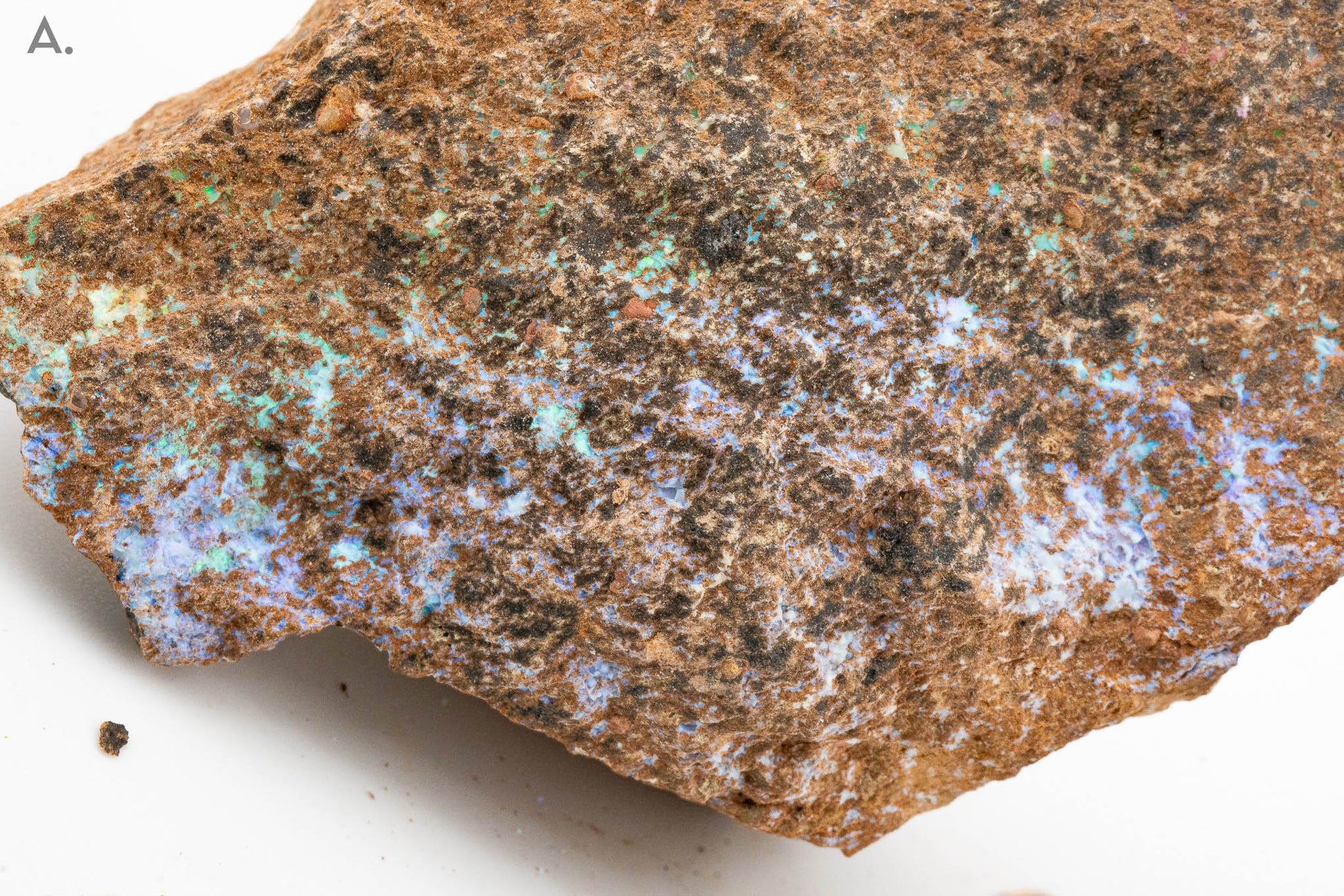 Rough Leopard Opal - Zimapan, Hidalgo, Mexico