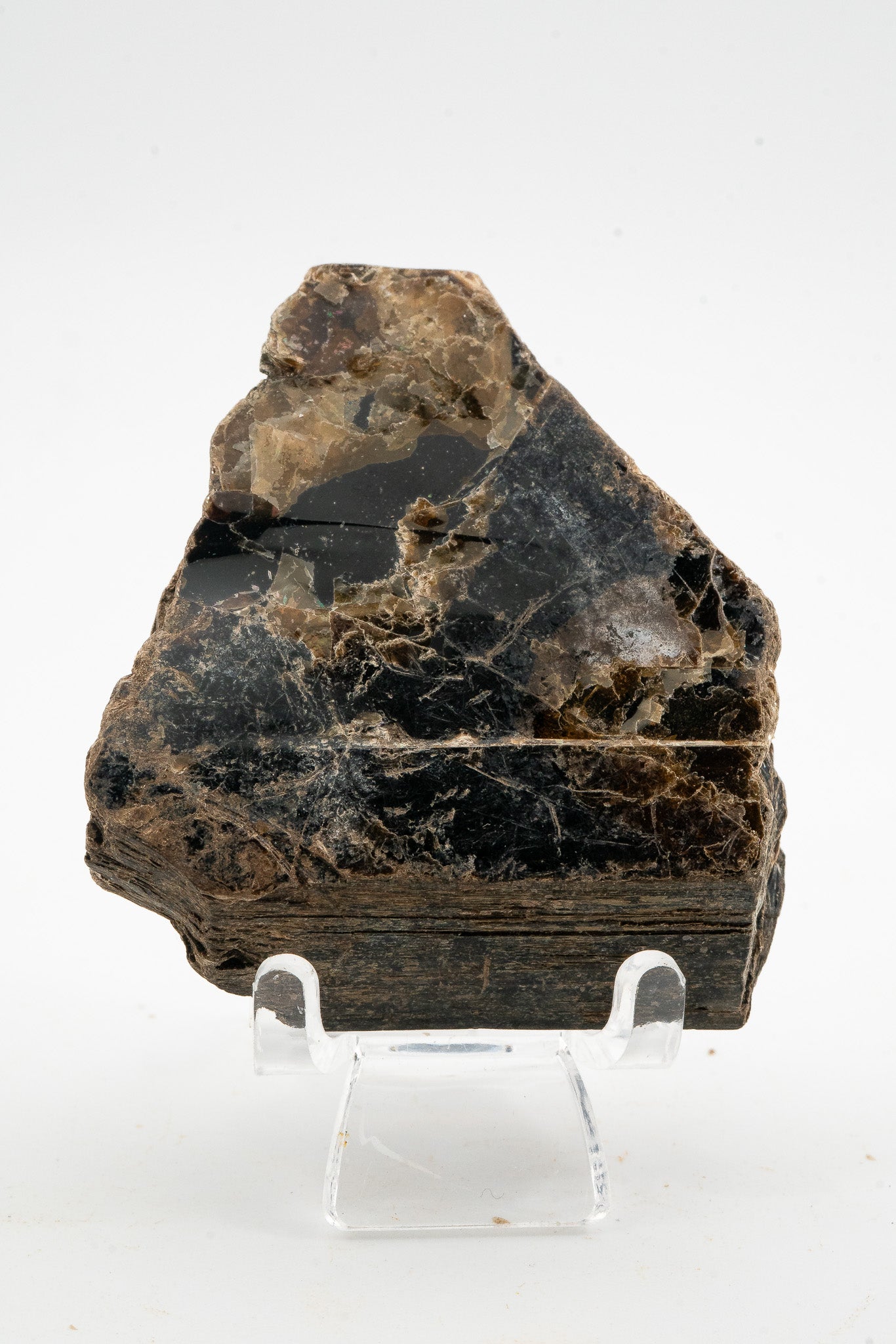 Phlogopite - Telixtlahuaca, Oaxaca, Mexico