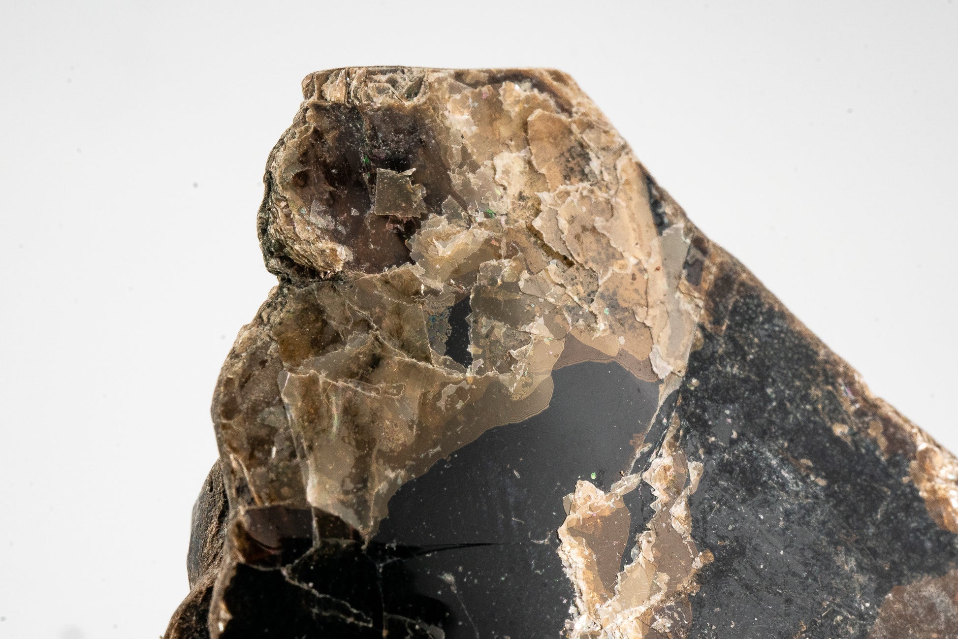 Phlogopite - Telixtlahuaca, Oaxaca, Mexico