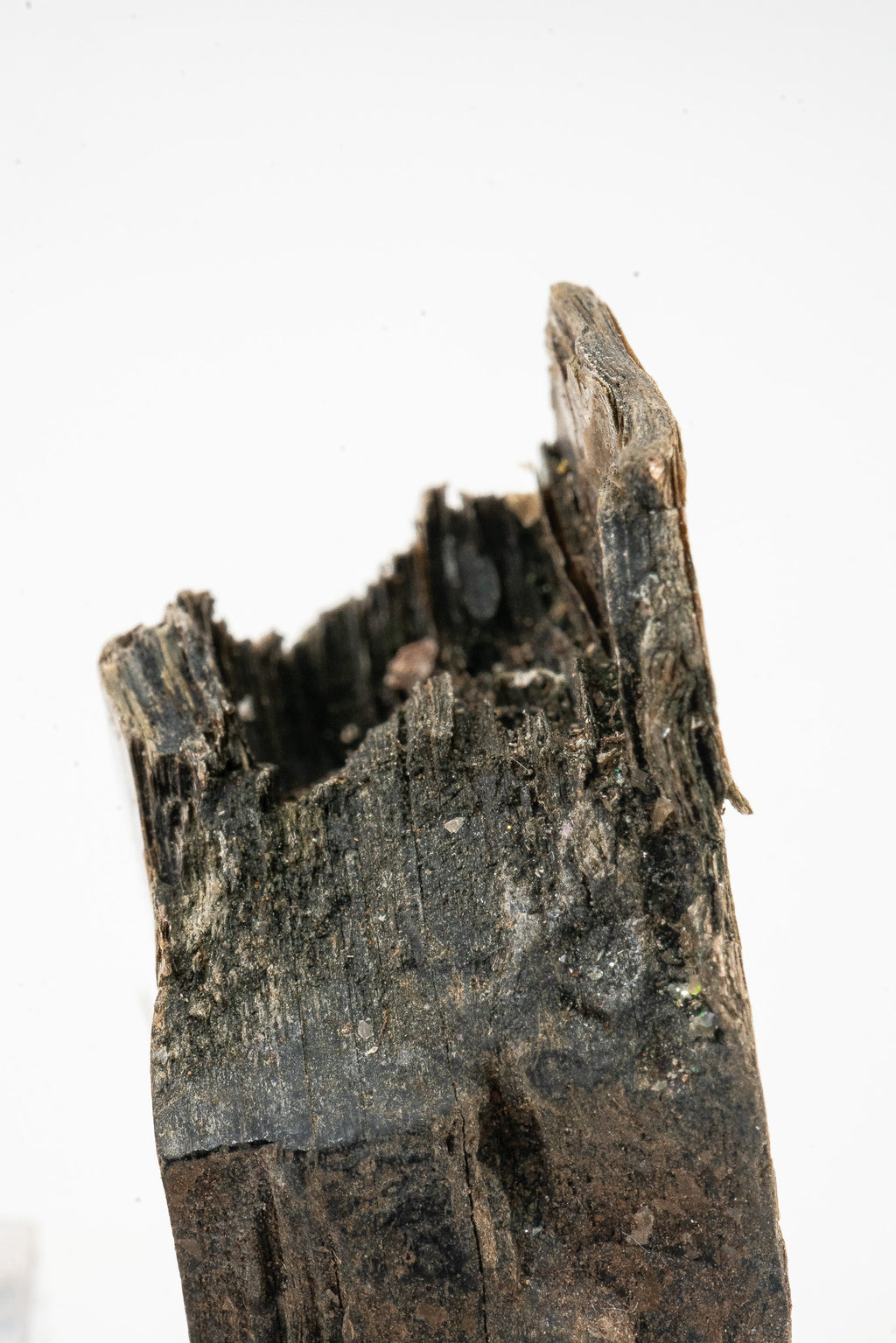 Phlogopite - Telixtlahuaca, Oaxaca, Mexico
