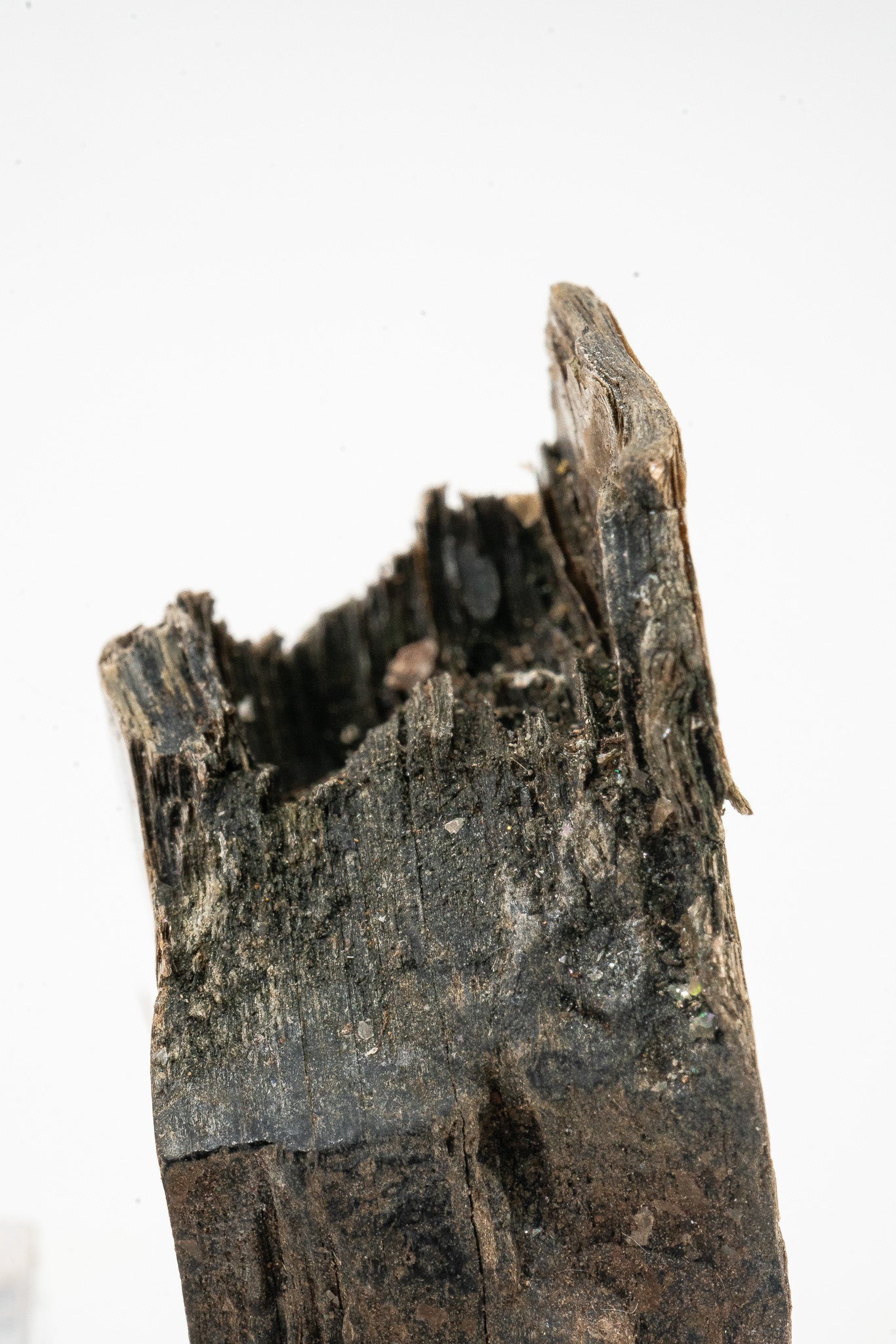 Phlogopite - Telixtlahuaca, Oaxaca, Mexico