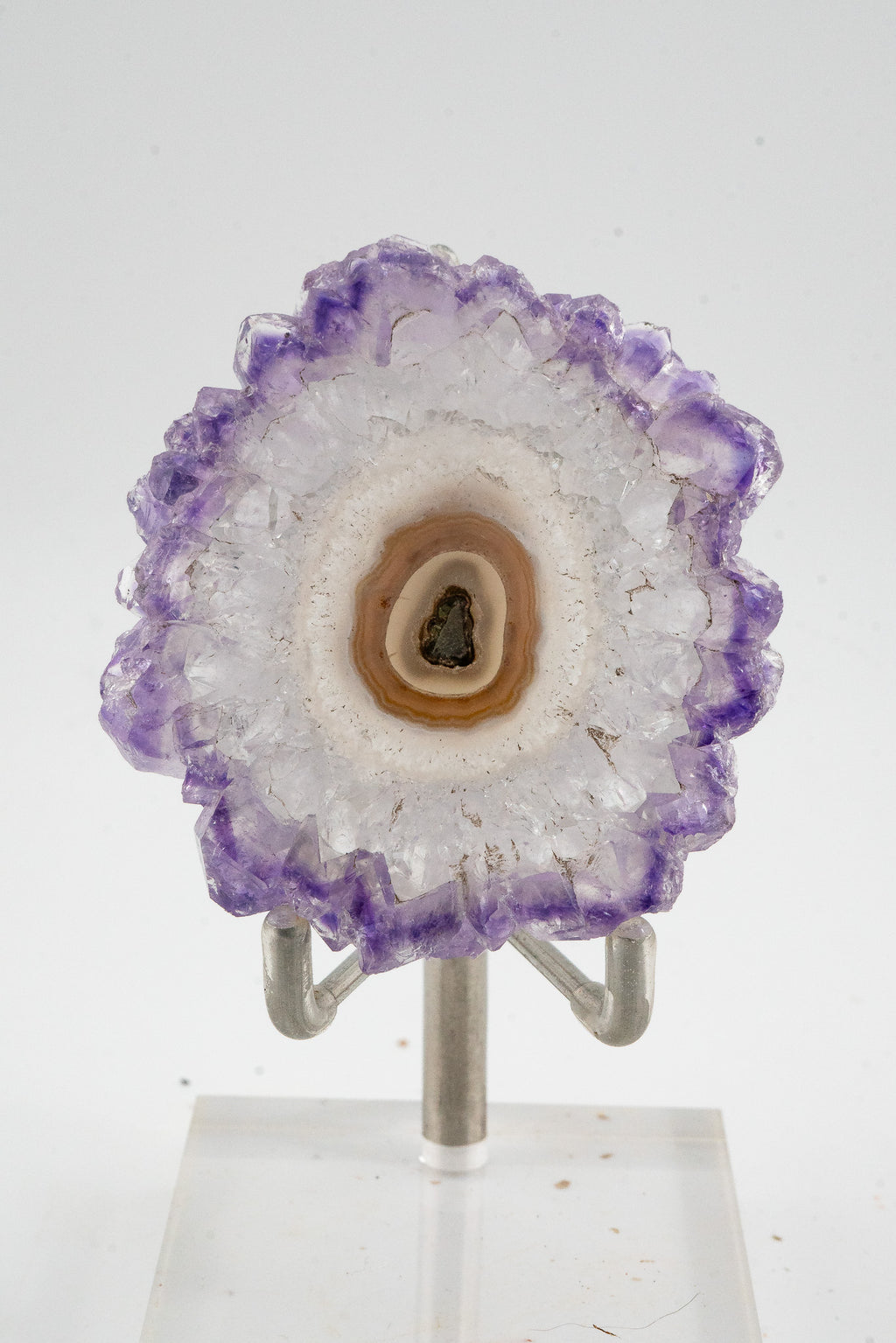 Extra Large Amethyst Stalactite Slice - Uruguay