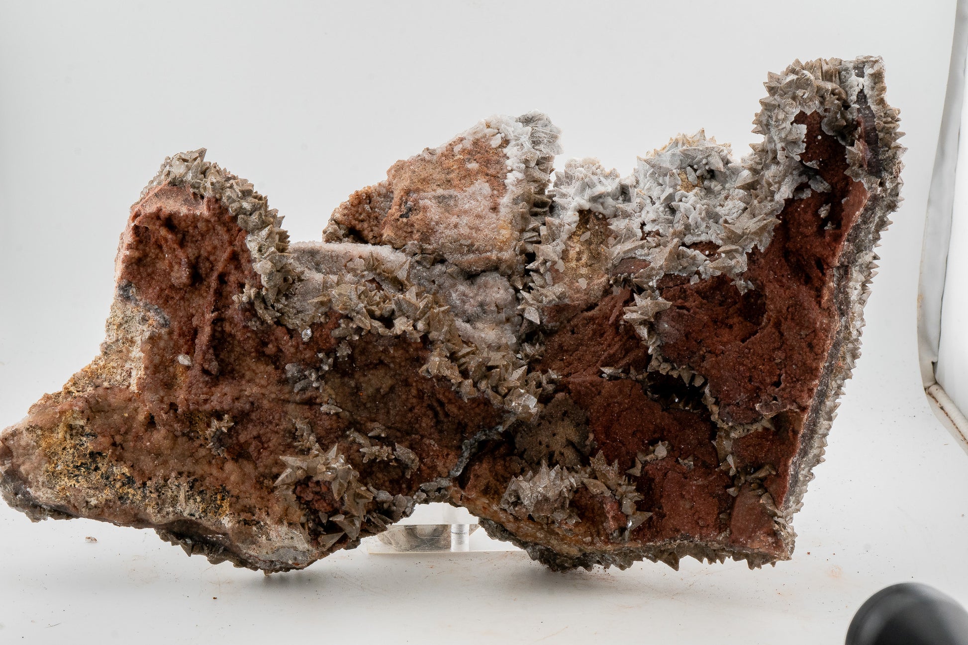 XXL - Dogtooth Calcite - Santa Eulalia Mining District, Chihuahua, Mexico