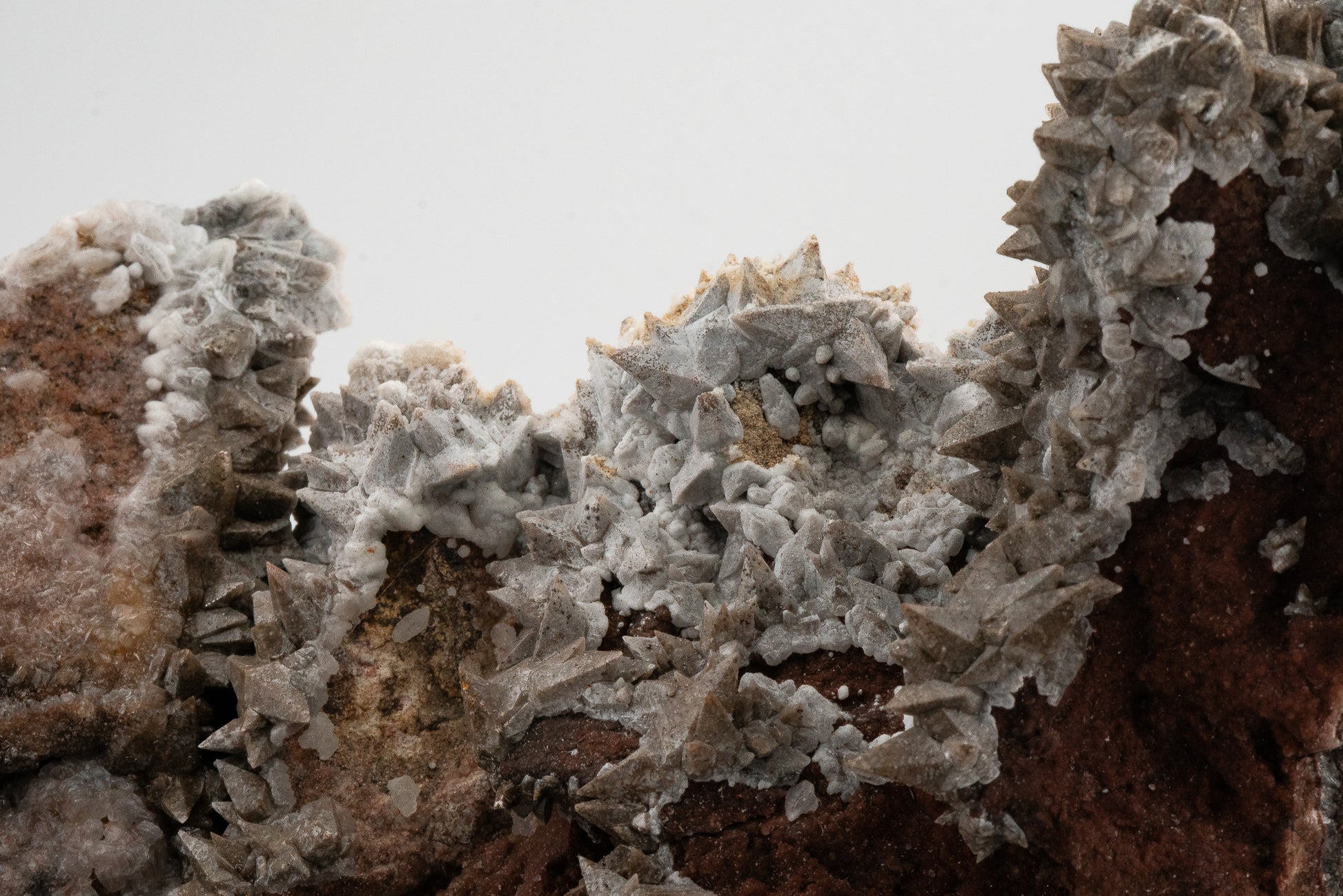 XXL - Dogtooth Calcite - Santa Eulalia Mining District, Chihuahua, Mexico