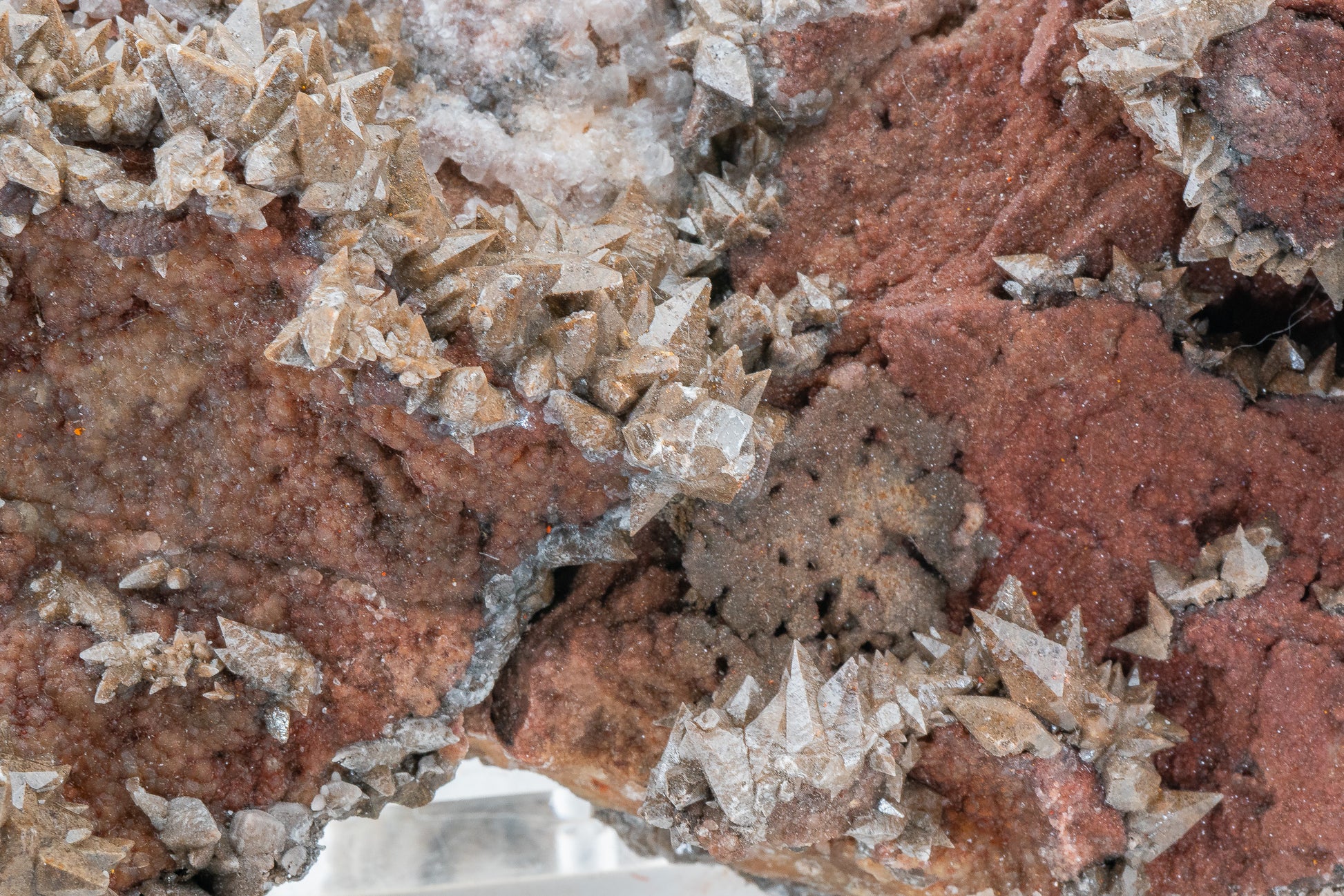 XXL - Dogtooth Calcite - Santa Eulalia Mining District, Chihuahua, Mexico