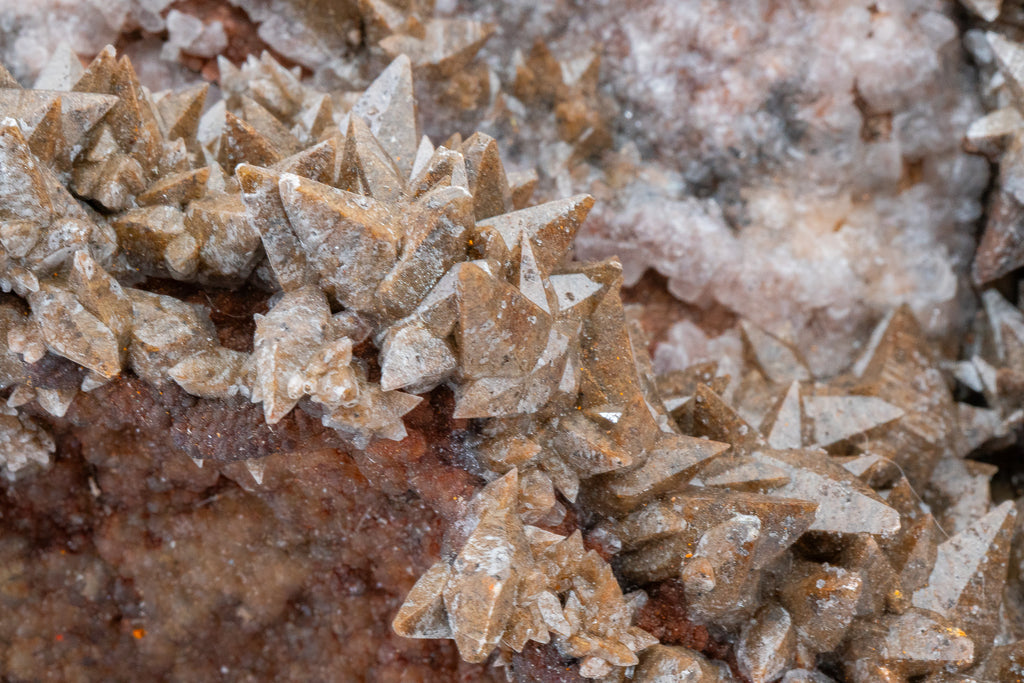 XXL - Dogtooth Calcite - Santa Eulalia Mining District, Chihuahua, Mexico