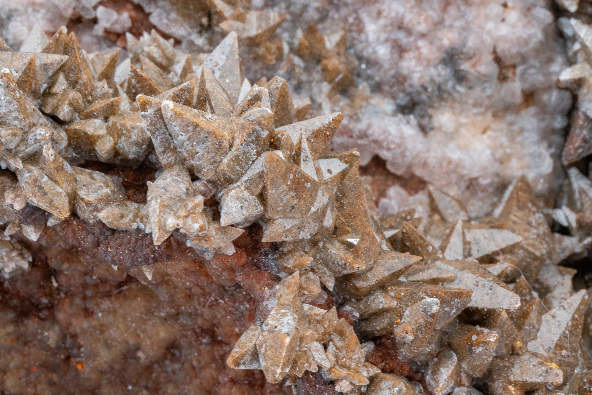 XXL - Dogtooth Calcite - Santa Eulalia Mining District, Chihuahua, Mexico