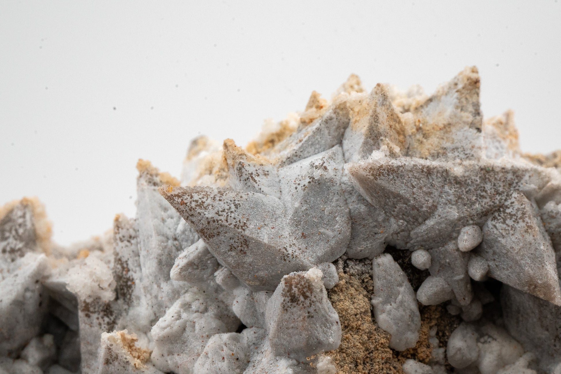 XXL - Dogtooth Calcite - Santa Eulalia Mining District, Chihuahua, Mexico