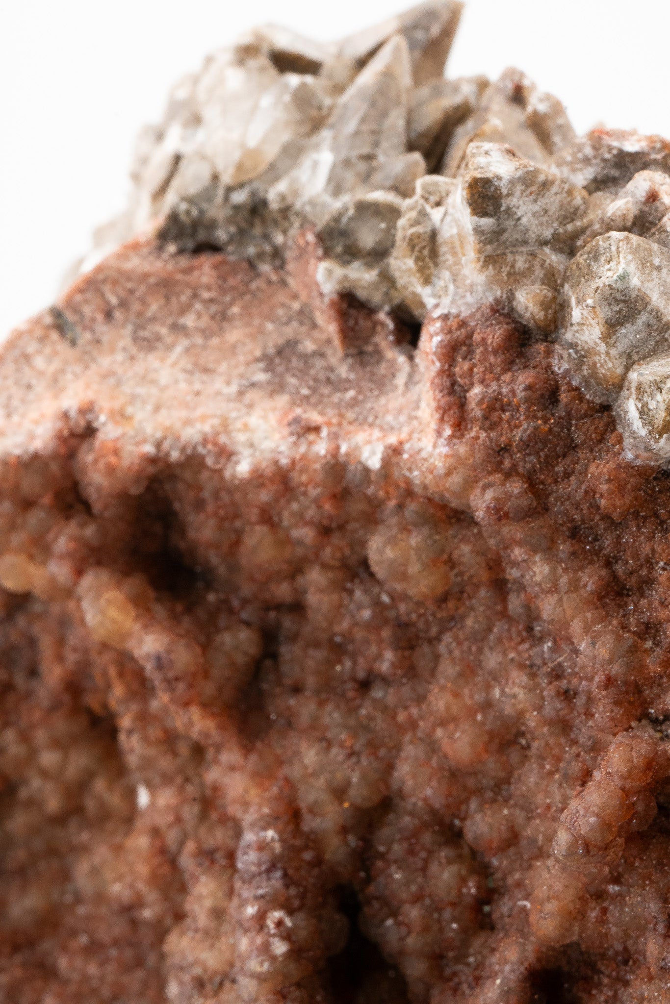 XXL - Dogtooth Calcite - Santa Eulalia Mining District, Chihuahua, Mexico