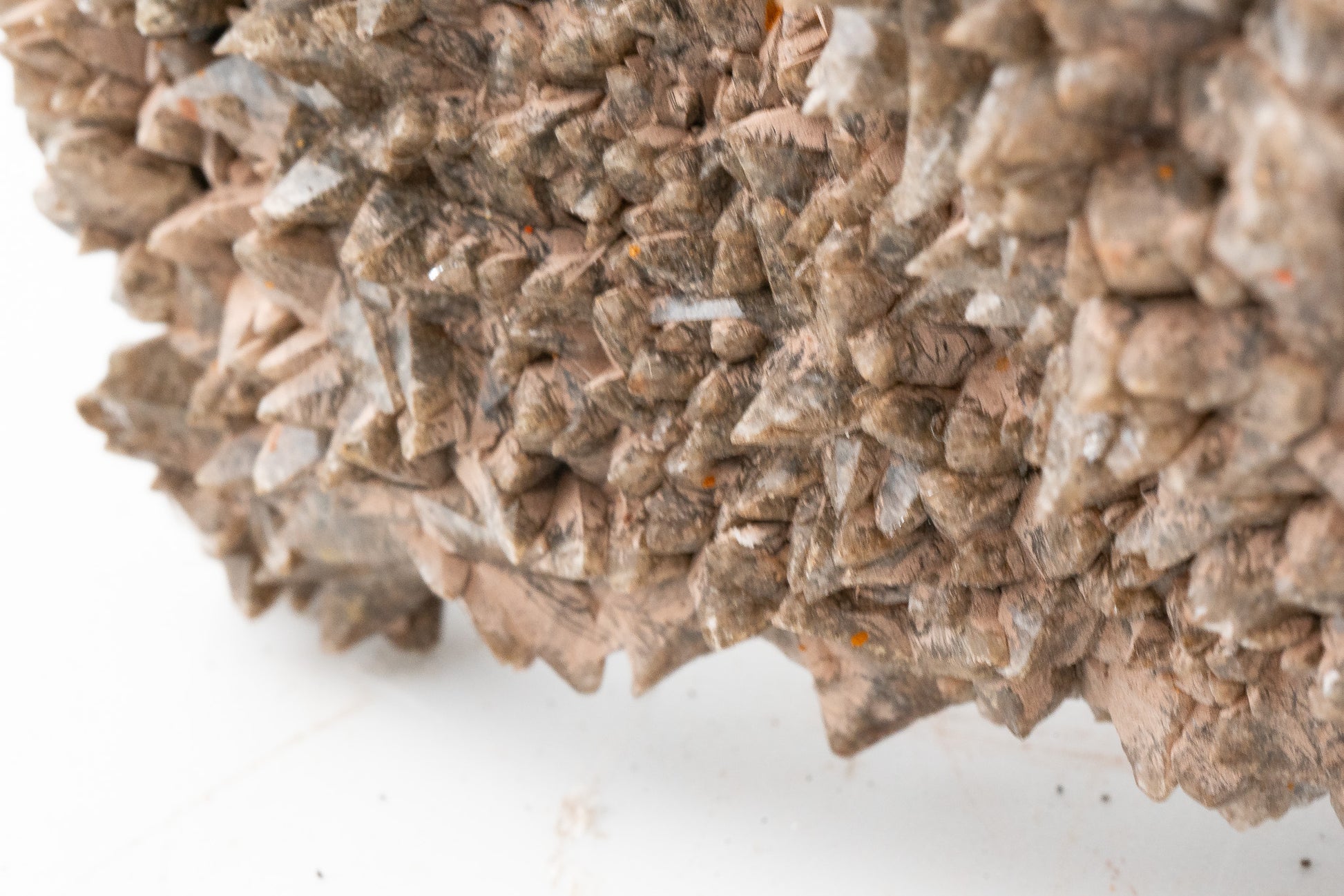 XXL - Dogtooth Calcite - Santa Eulalia Mining District, Chihuahua, Mexico