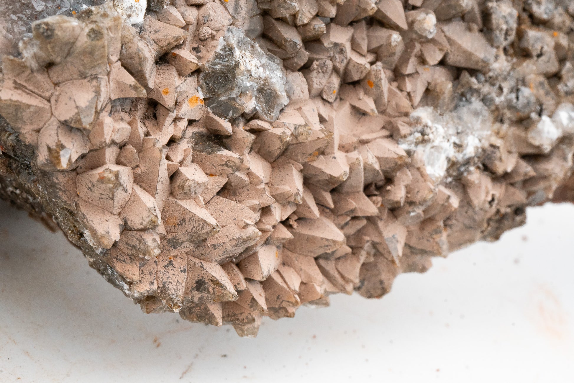 XXL - Dogtooth Calcite - Santa Eulalia Mining District, Chihuahua, Mexico