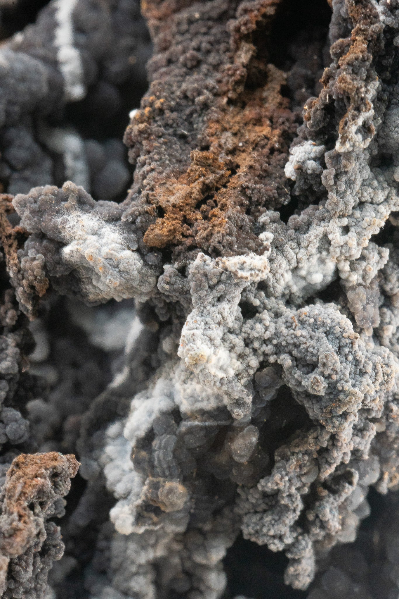 Quartz var. Chalcedony over Goethite - Zimapan, Hidalgo, Mexico