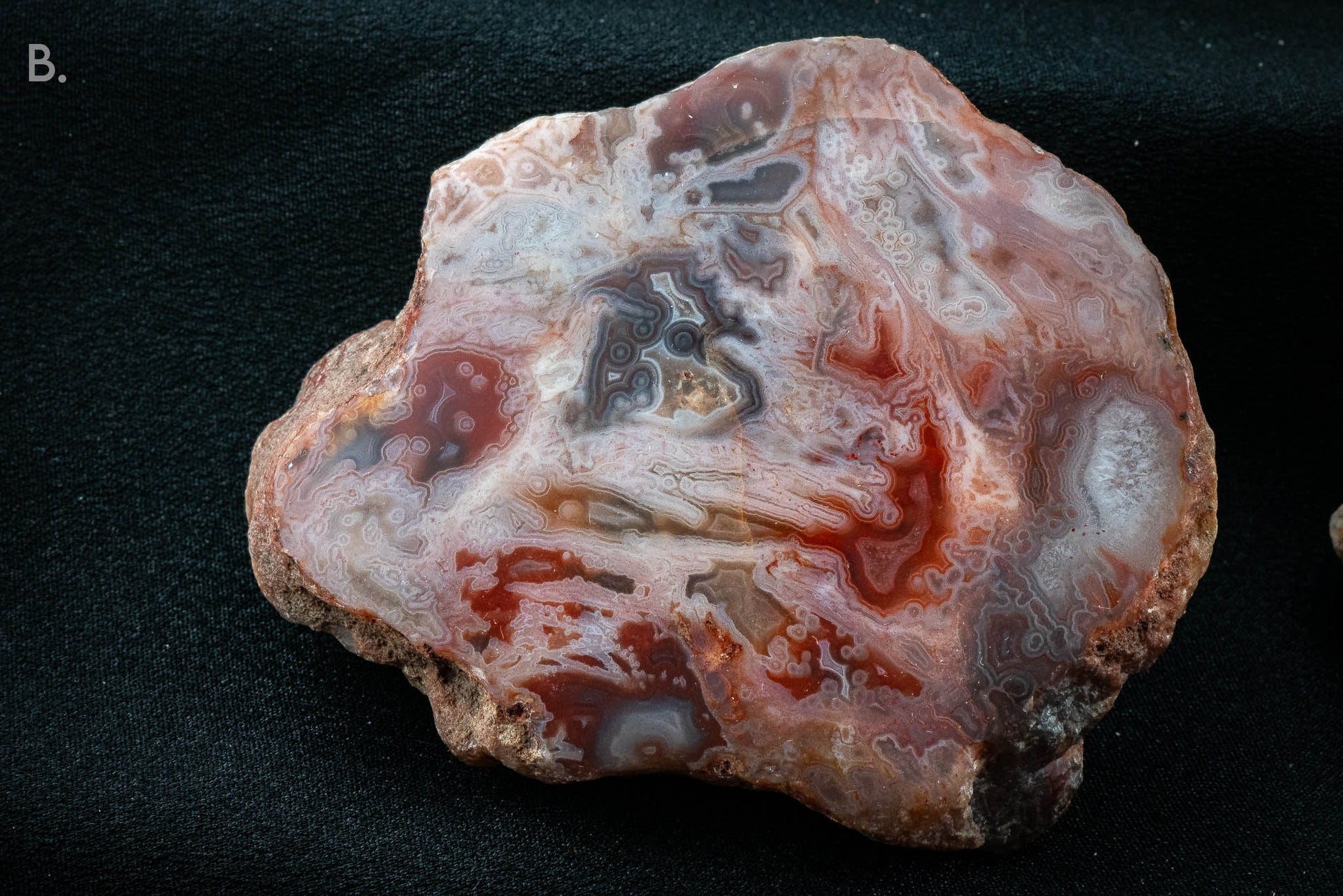 Agate Nodule - Sashe River, Zimbabwe