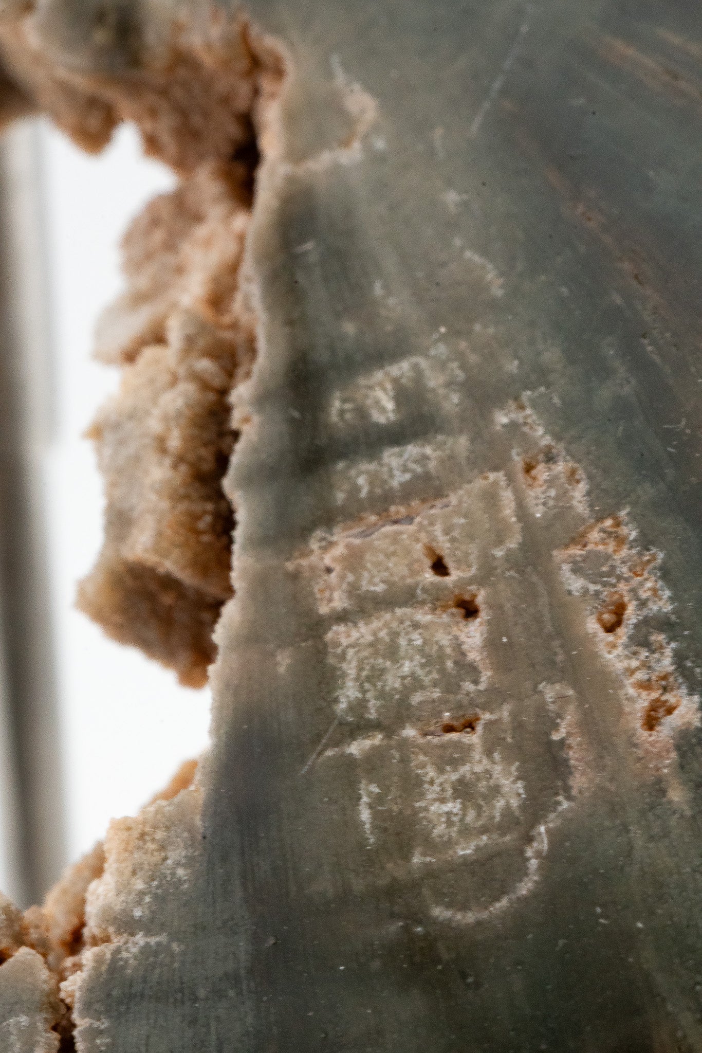 Petrified Wood Slice - Gokwe, Midlands, Zimbabwe