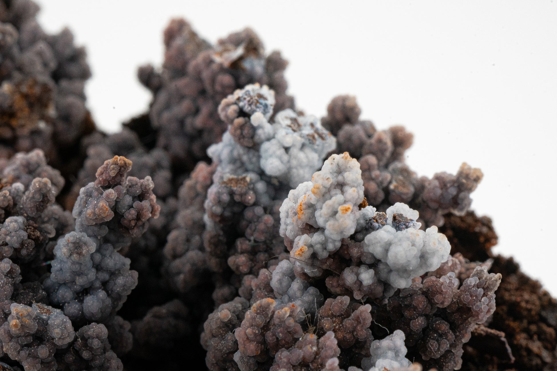 Quartz var. Chalcedony over Goethite - Zimapan, Hidalgo, Mexico