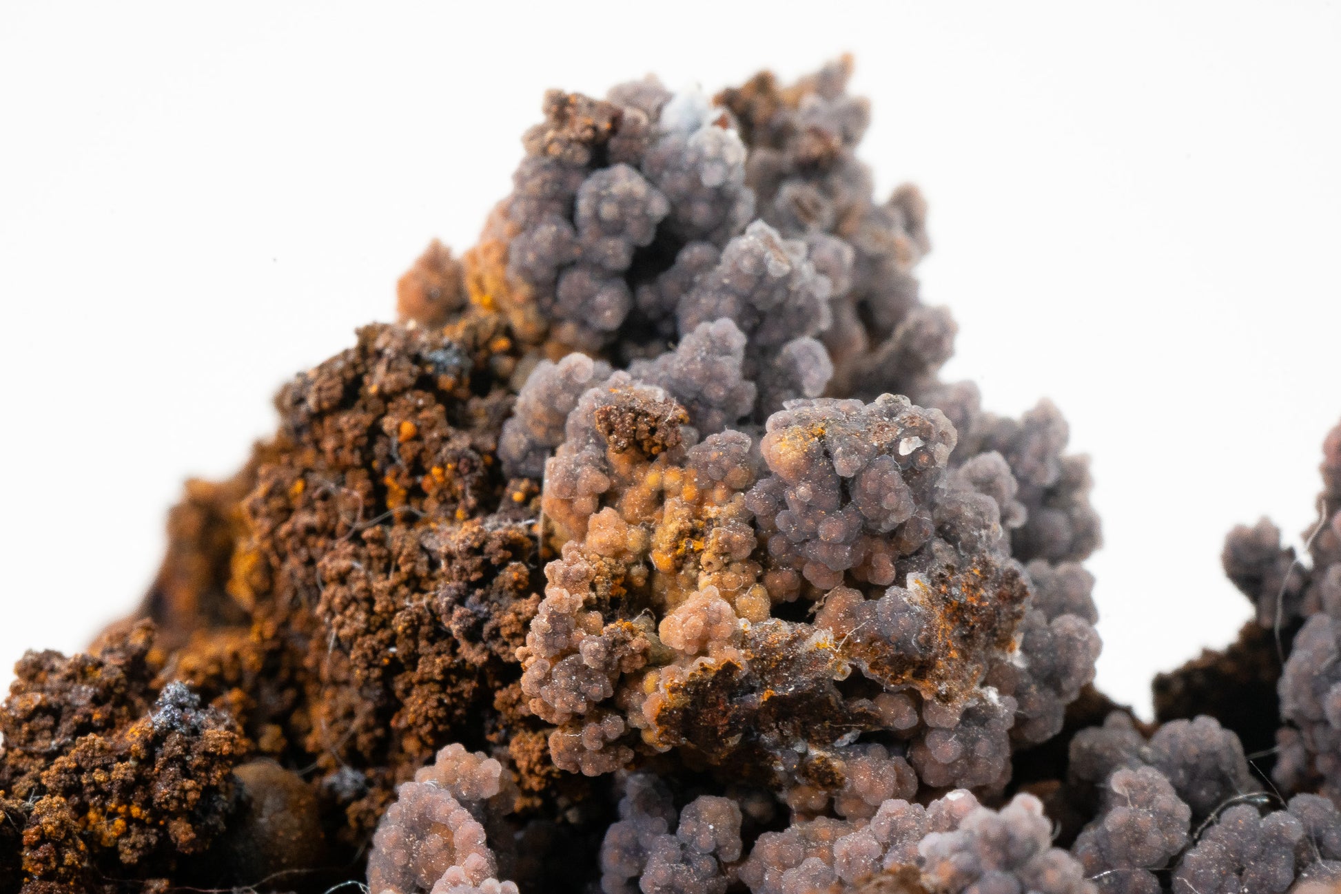 Quartz var. Chalcedony over Goethite - Zimapan, Hidalgo, Mexico
