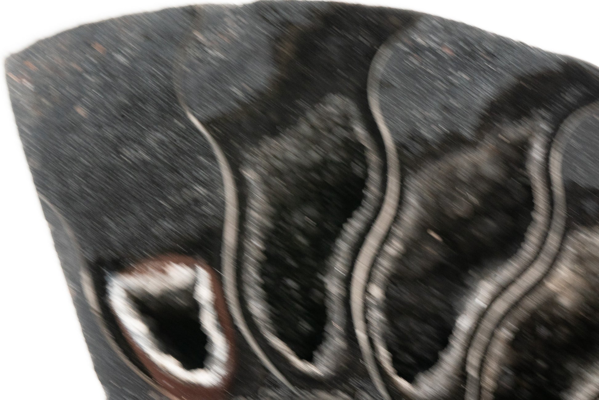 Black Ammonite Slice - Madagascar
