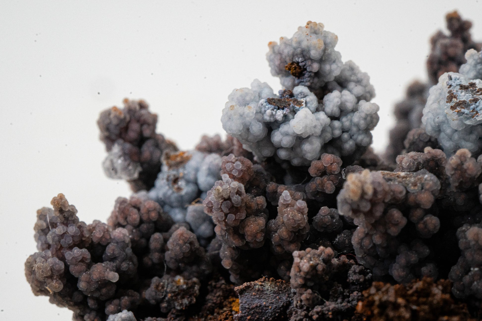 Quartz var. Chalcedony over Goethite - Zimapan, Hidalgo, Mexico