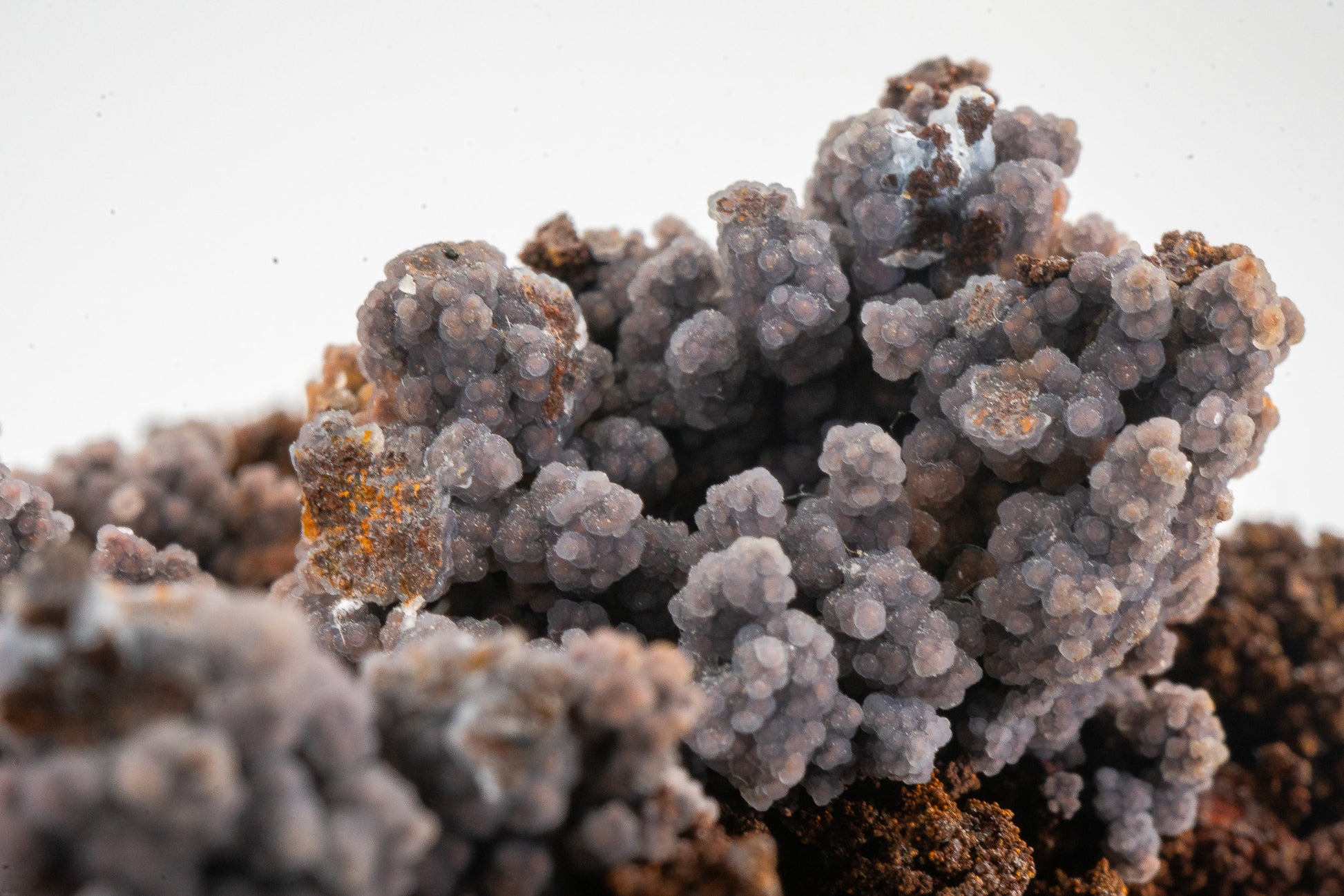 Quartz var. Chalcedony over Goethite - Zimapan, Hidalgo, Mexico