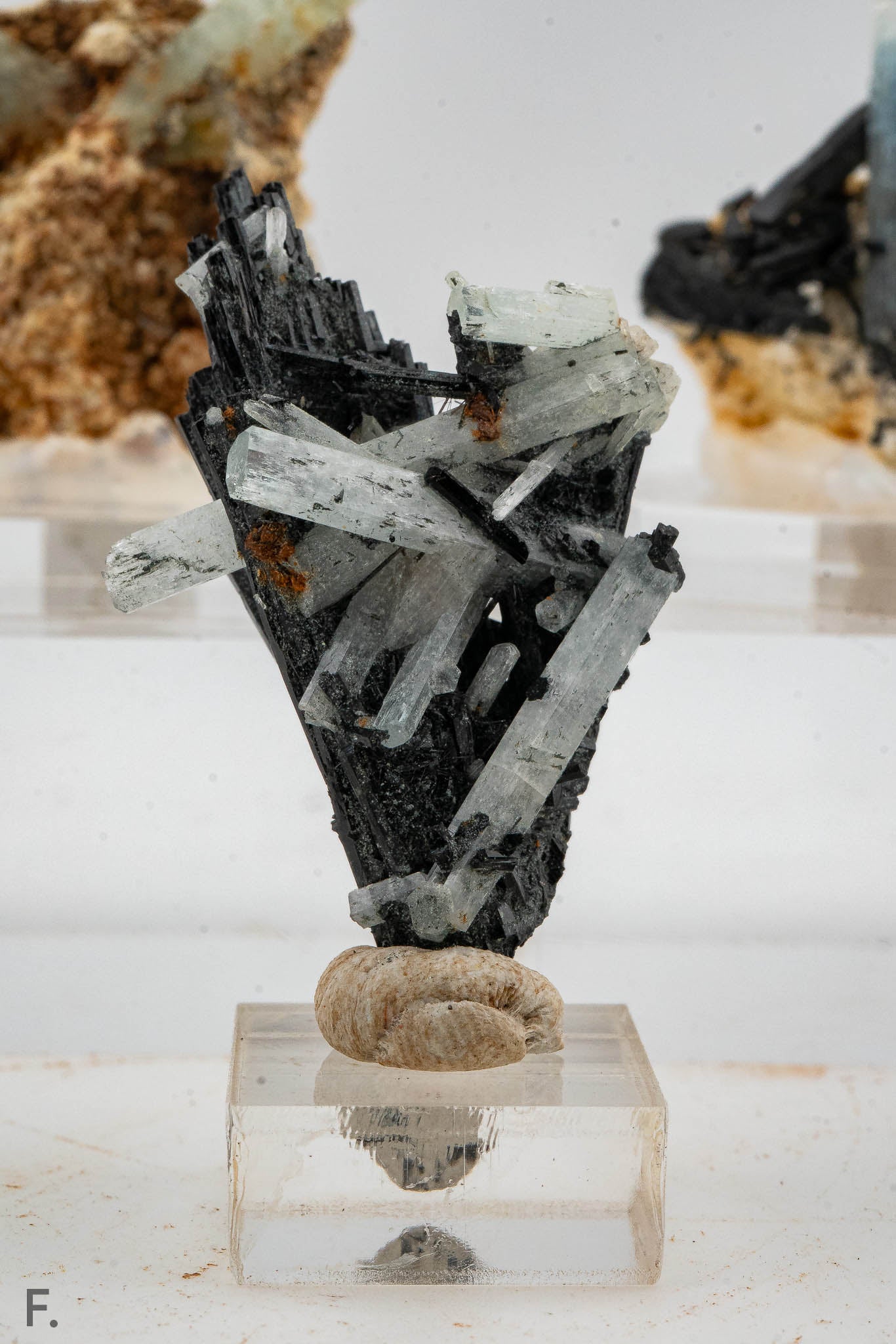 Aquamarine, Tourmaline Var. Schorl - Erongo, Namibia
