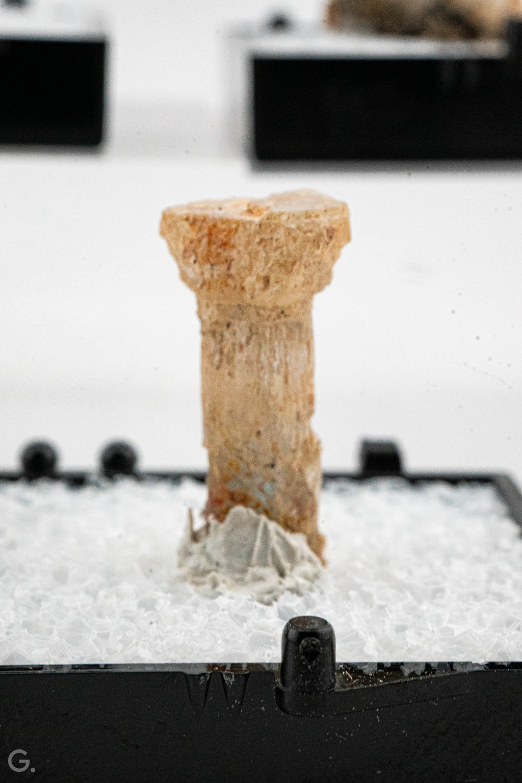 Aquamarine, Tourmaline Var. Schorl - Erongo, Namibia