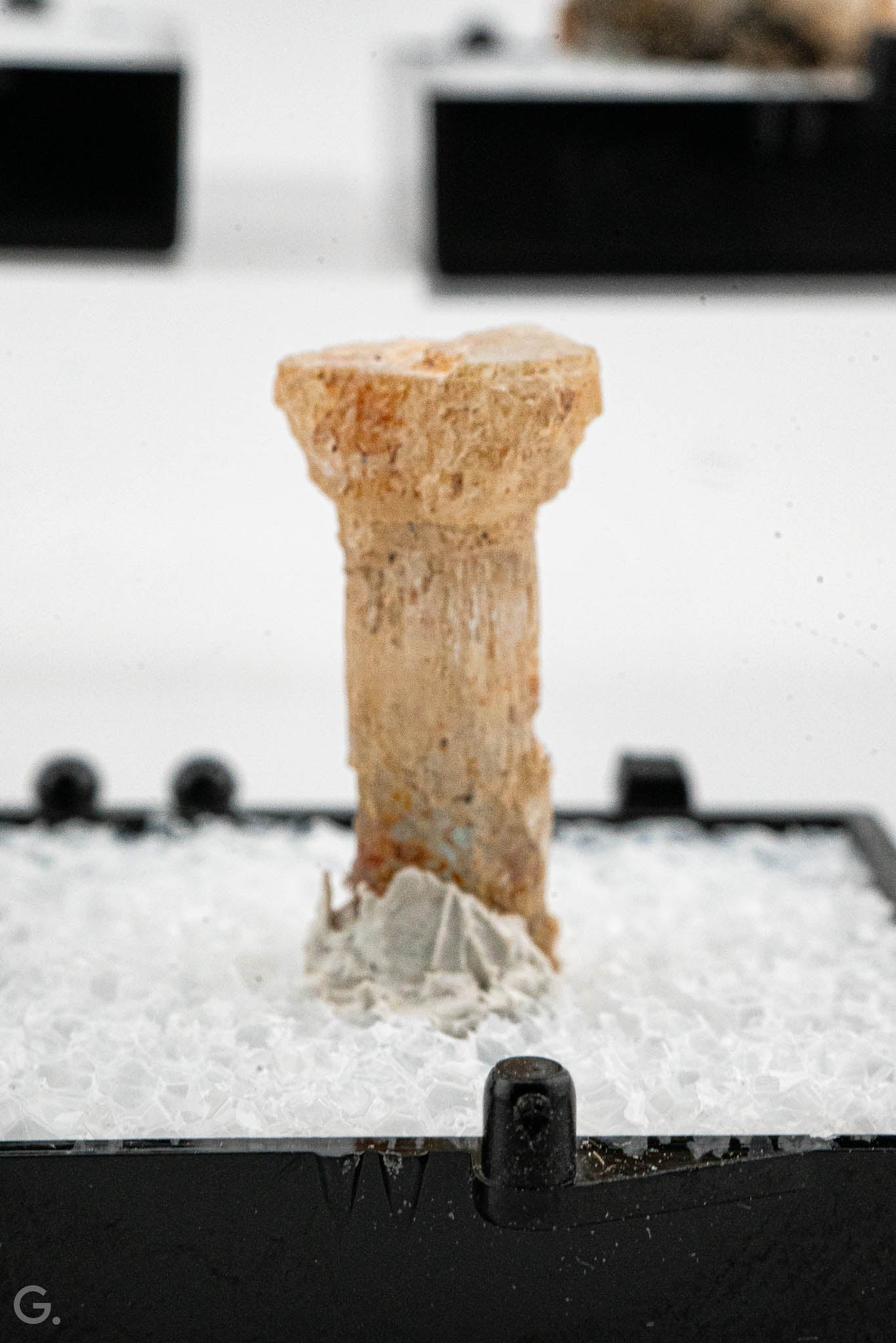 Aquamarine, Tourmaline Var. Schorl - Erongo, Namibia