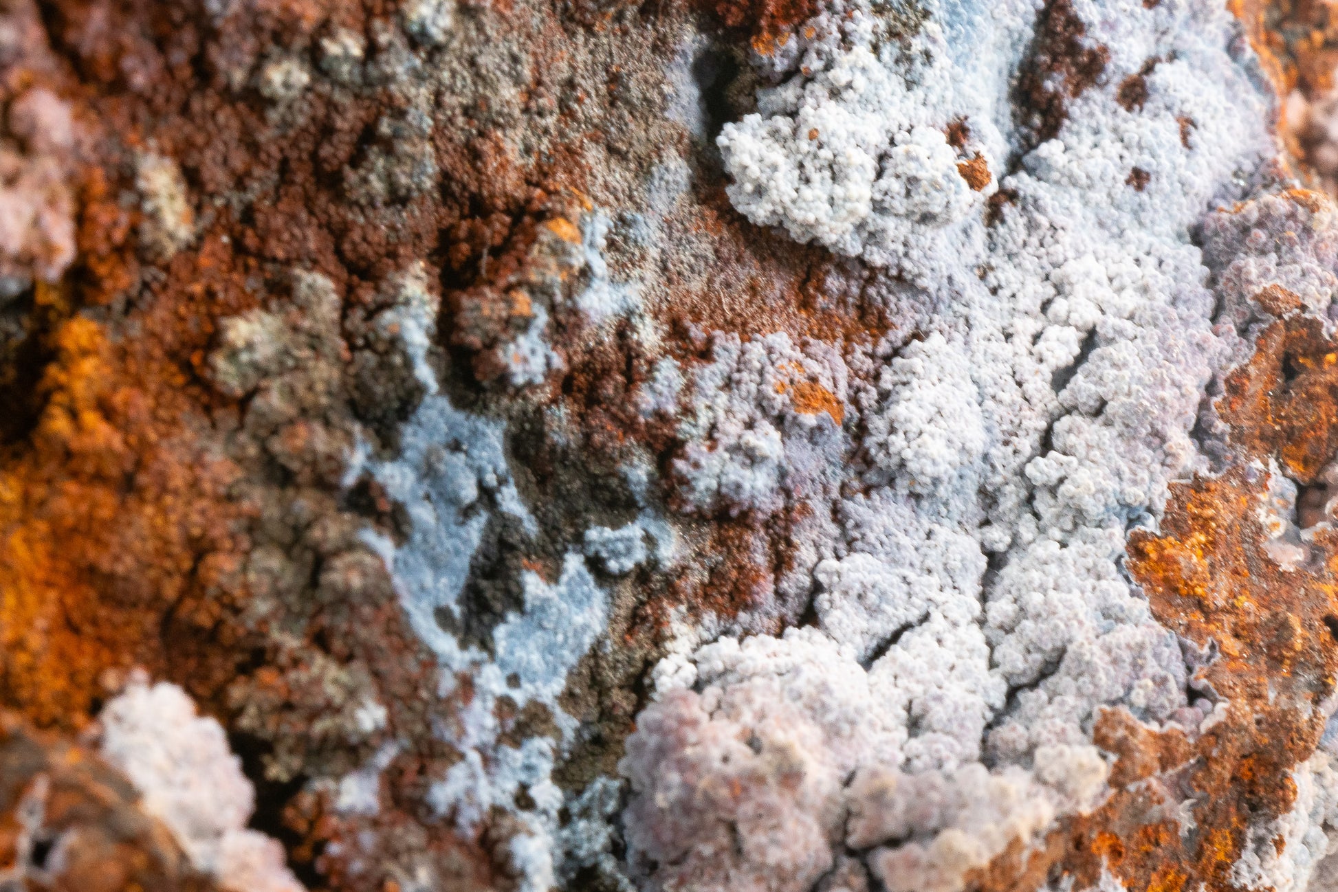 Quartz var. Chalcedony over Goethite - Zimapan, Hidalgo, Mexico
