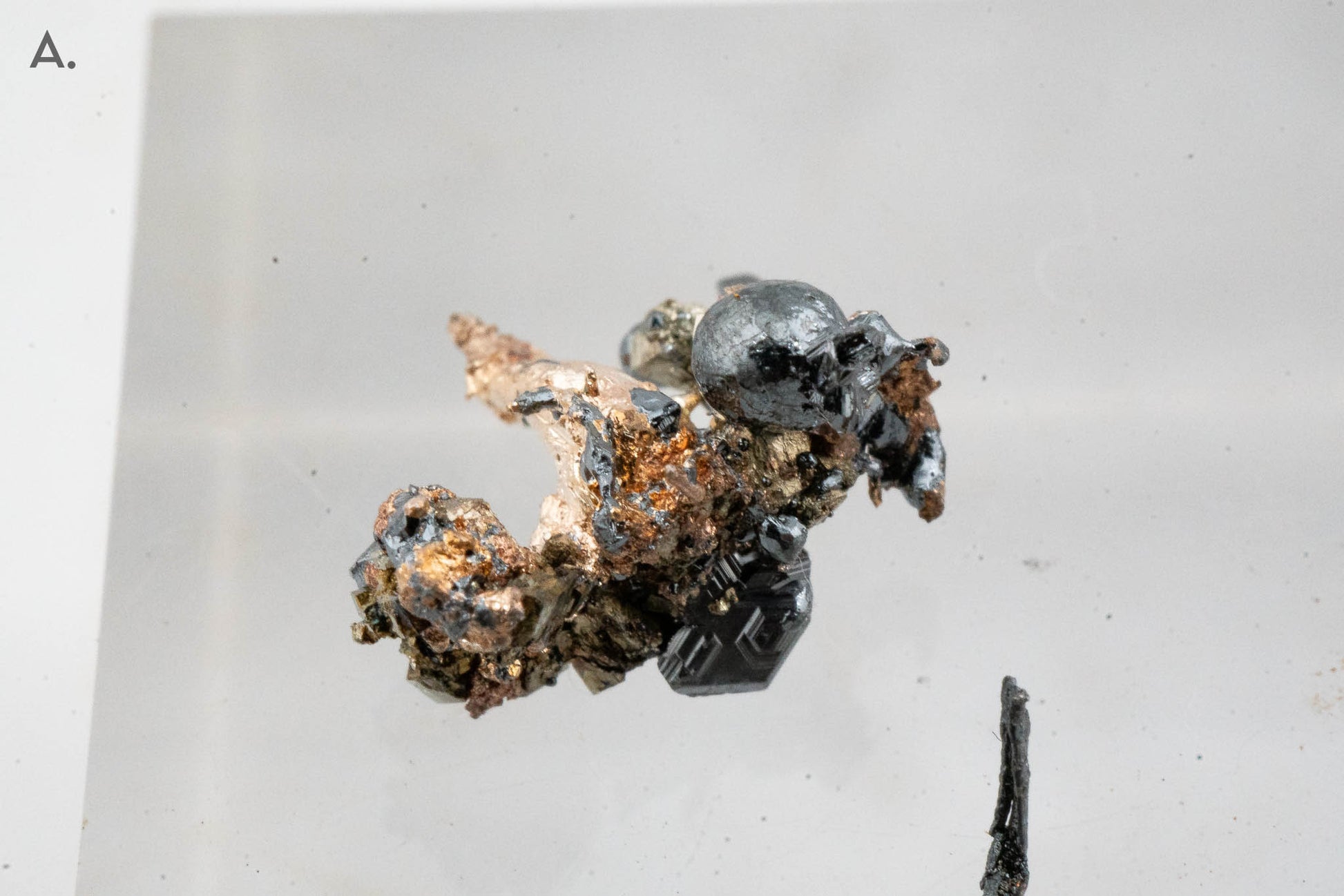 Acanthite & Silver - Mina Juanicipio, Municipio de Fresnillo, Zacatecas, Mexico