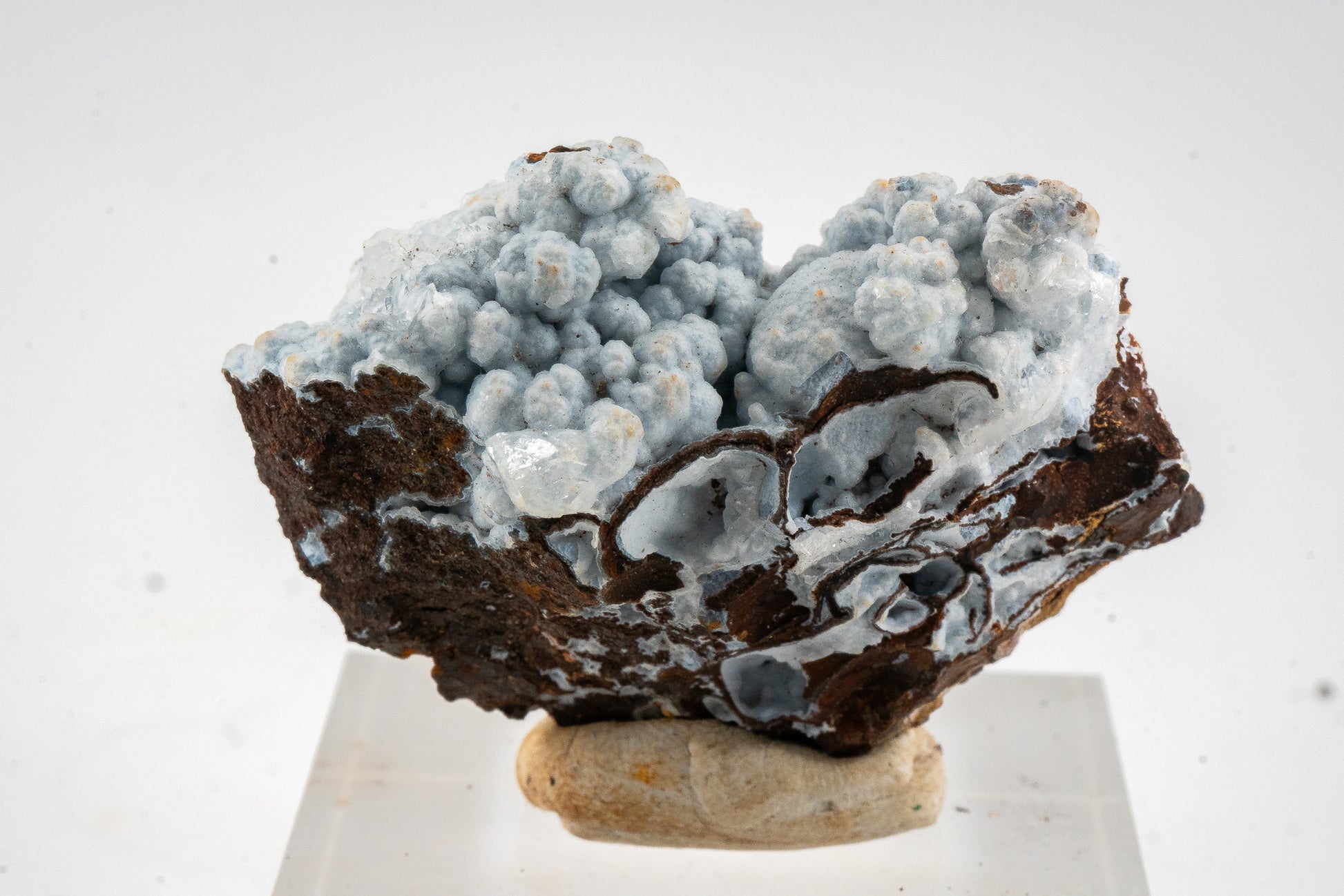 Quartz var. Chalcedony over Goethite - Zimapan, Hidalgo, Mexico