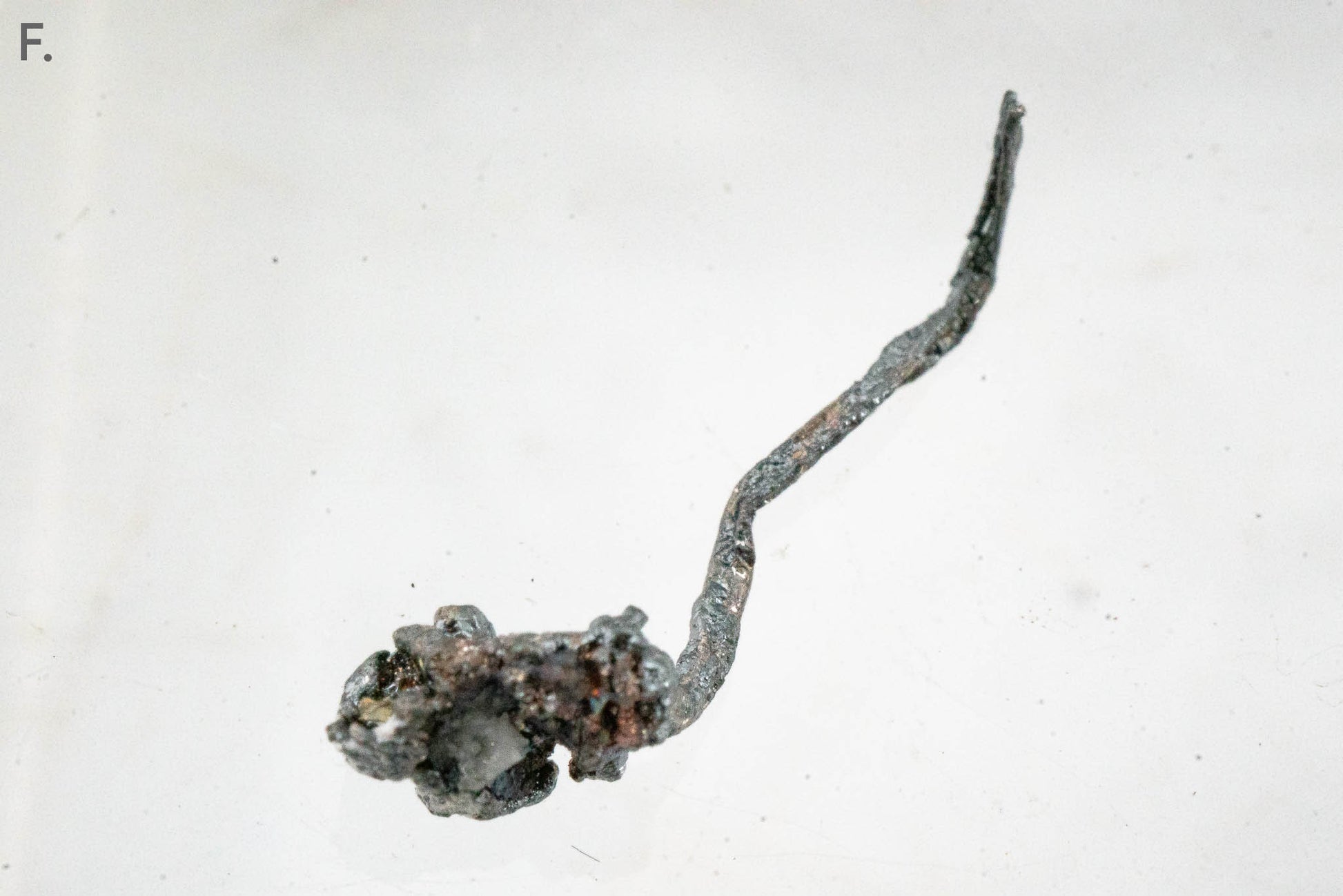 Acanthite & Silver - Mina Juanicipio, Municipio de Fresnillo, Zacatecas, Mexico