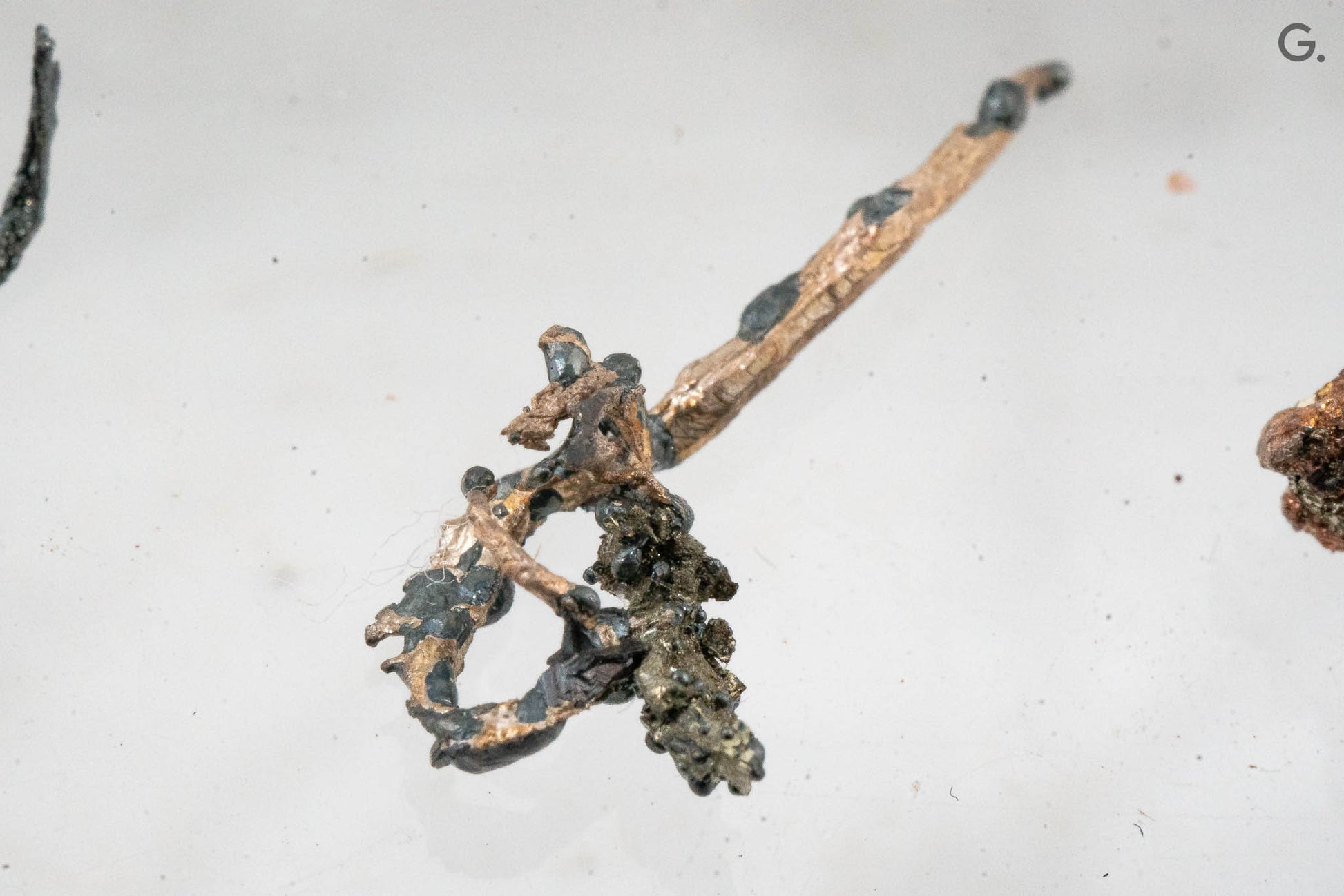 Acanthite & Silver - Mina Juanicipio, Municipio de Fresnillo, Zacatecas, Mexico