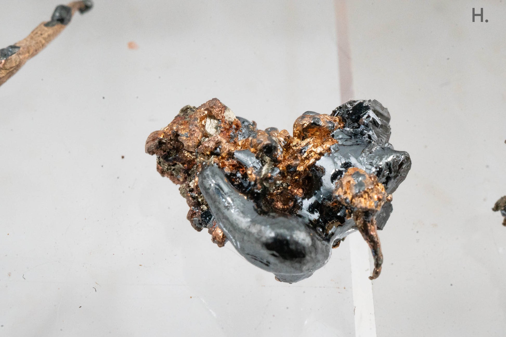 Acanthite & Silver - Mina Juanicipio, Municipio de Fresnillo, Zacatecas, Mexico