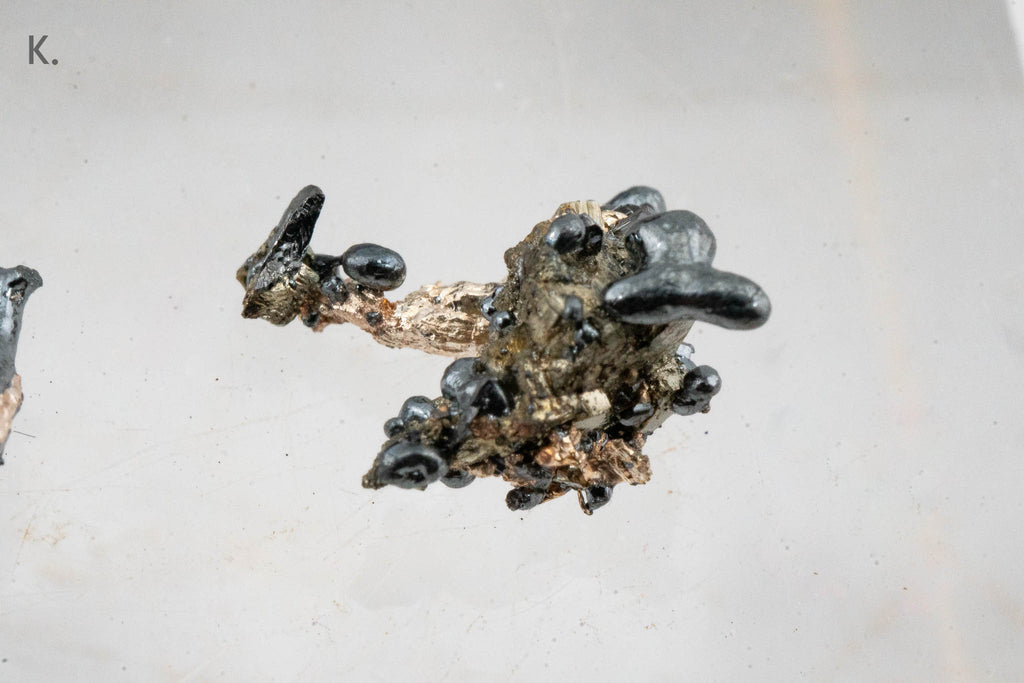 Acanthite & Silver - Mina Juanicipio, Municipio de Fresnillo, Zacatecas, Mexico