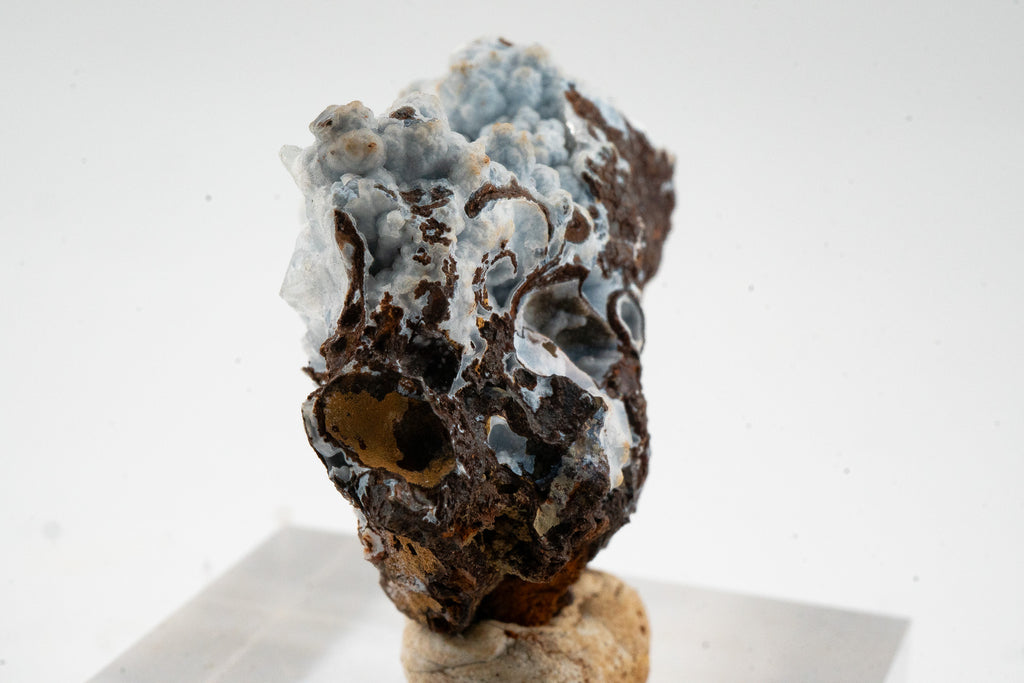 Quartz var. Chalcedony over Goethite - Zimapan, Hidalgo, Mexico