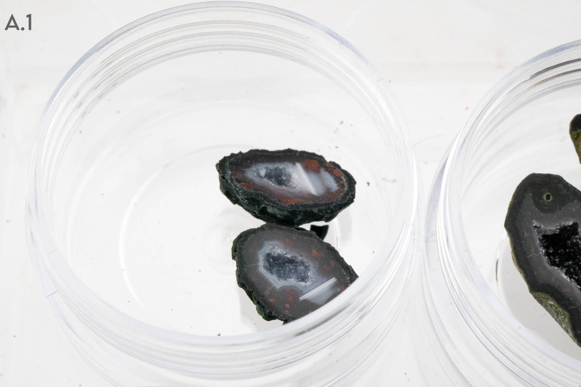 Baby Geodes - Rancho Agua Blanca, Tabasco Municipality, Zacatecas, Mexico