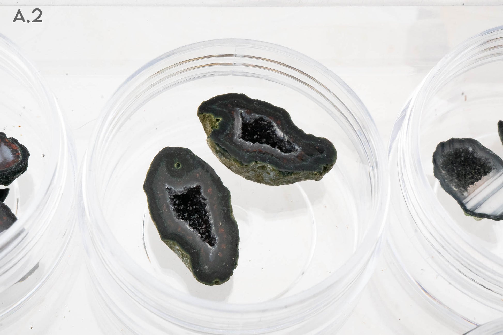 Baby Geodes - Rancho Agua Blanca, Tabasco Municipality, Zacatecas, Mexico
