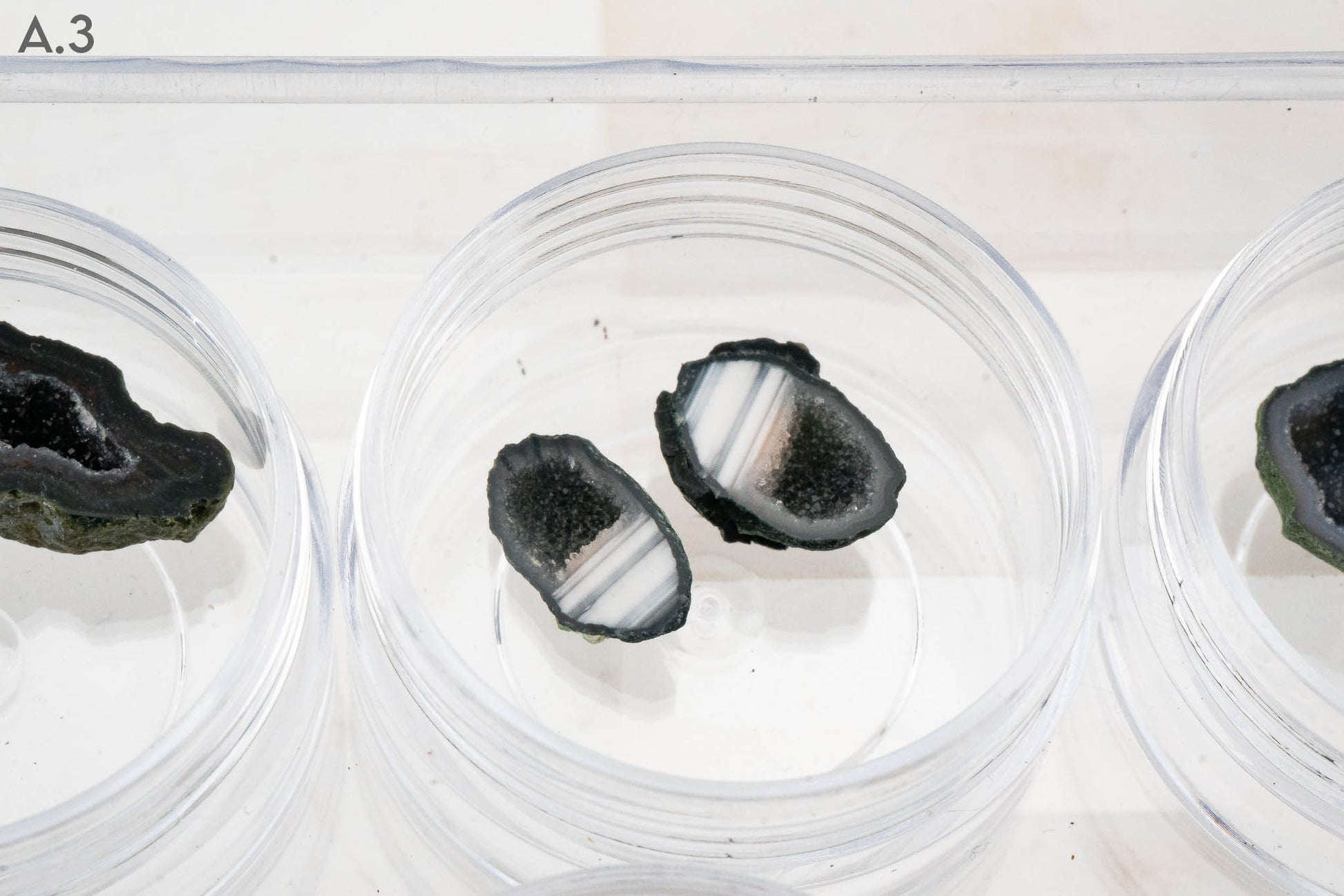 Baby Geodes - Rancho Agua Blanca, Tabasco Municipality, Zacatecas, Mexico