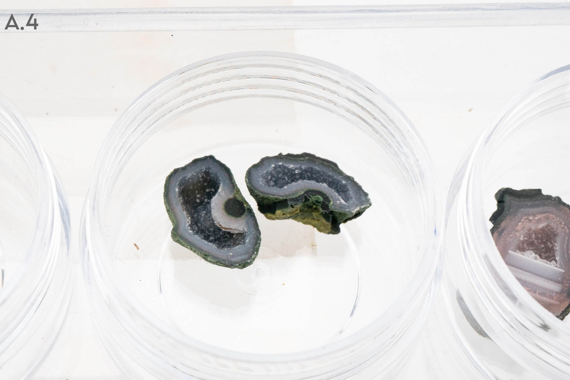 Baby Geodes - Rancho Agua Blanca, Tabasco Municipality, Zacatecas, Mexico