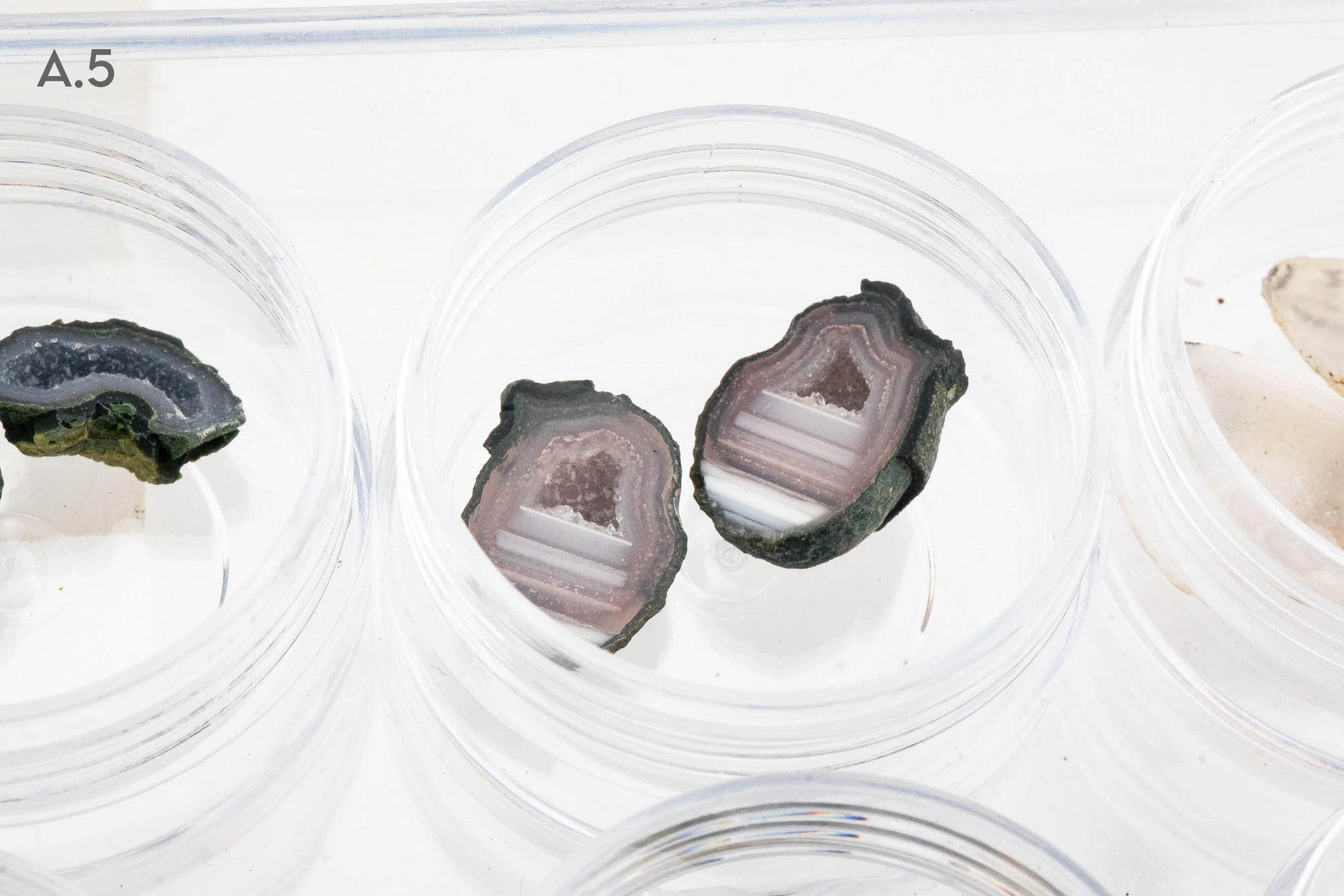 Baby Geodes - Rancho Agua Blanca, Tabasco Municipality, Zacatecas, Mexico