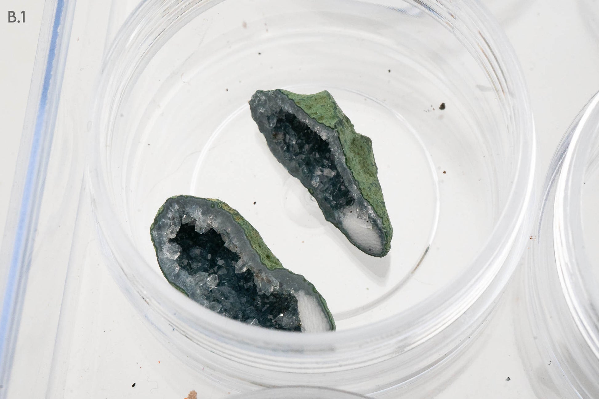 Baby Geodes - Rancho Agua Blanca, Tabasco Municipality, Zacatecas, Mexico