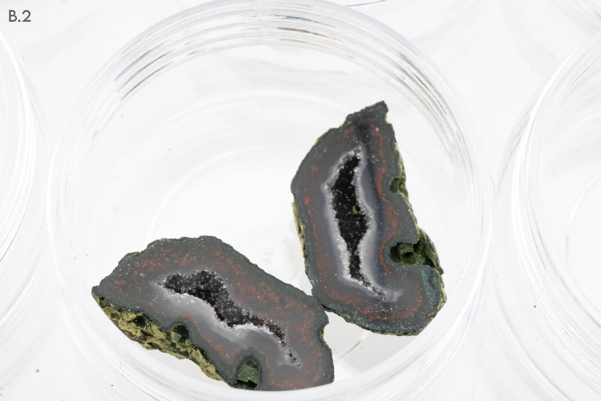 Baby Geodes - Rancho Agua Blanca, Tabasco Municipality, Zacatecas, Mexico