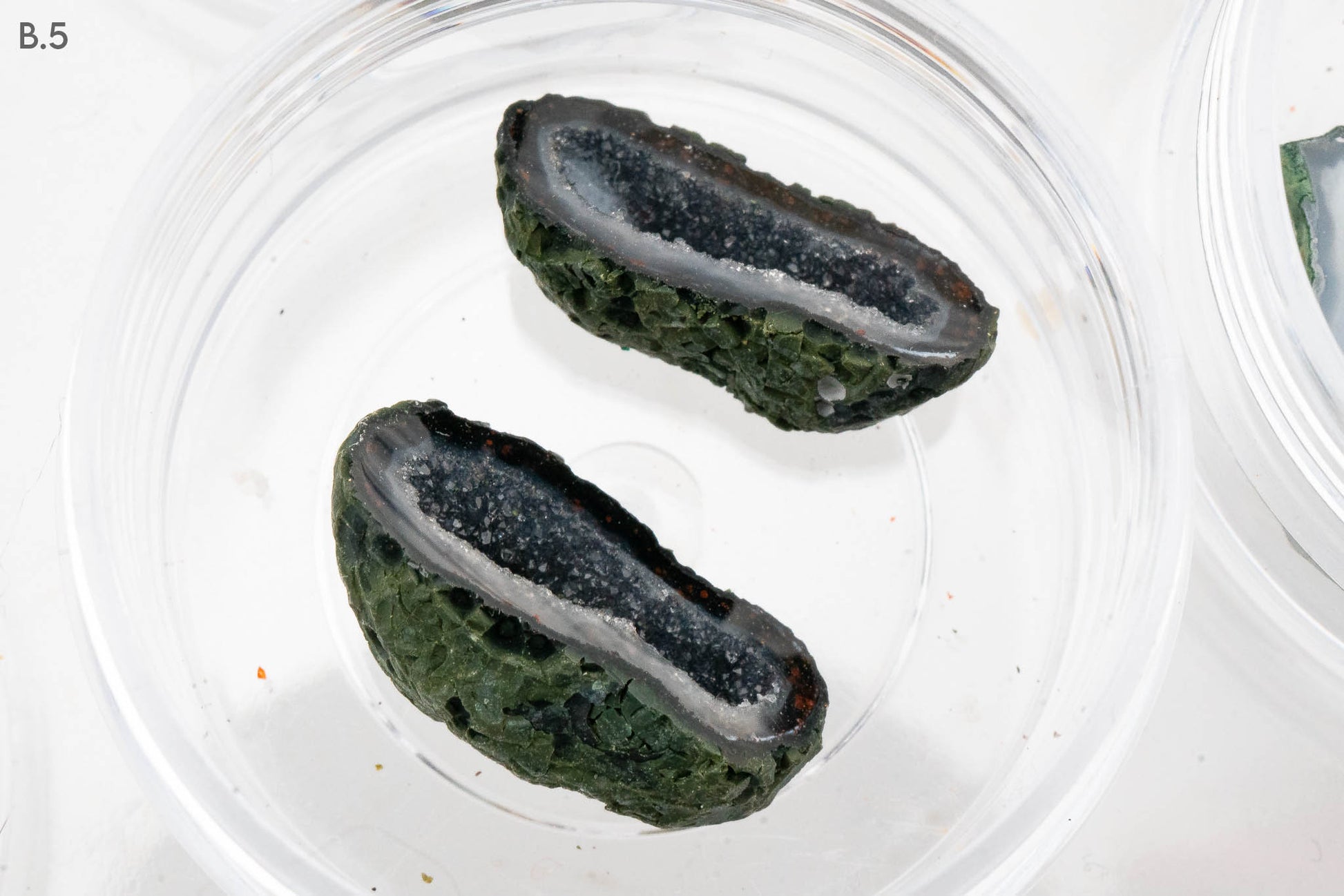 Baby Geodes - Rancho Agua Blanca, Tabasco Municipality, Zacatecas, Mexico